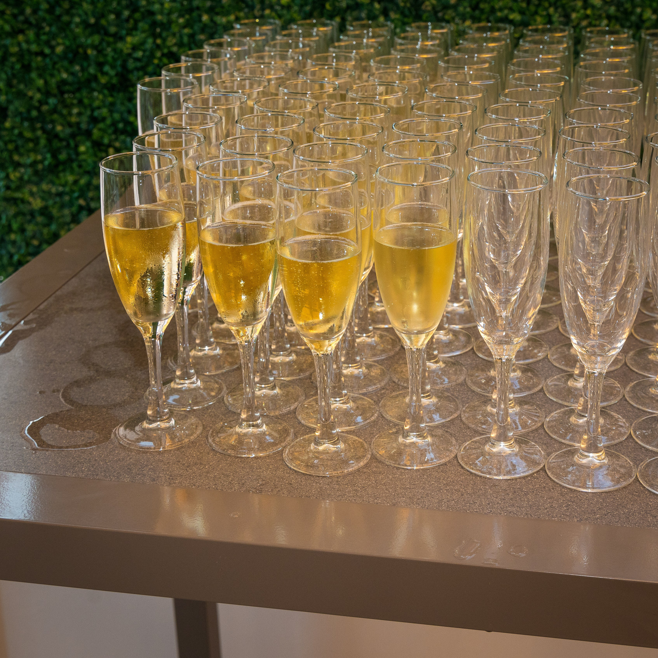 Home. Out and About 239