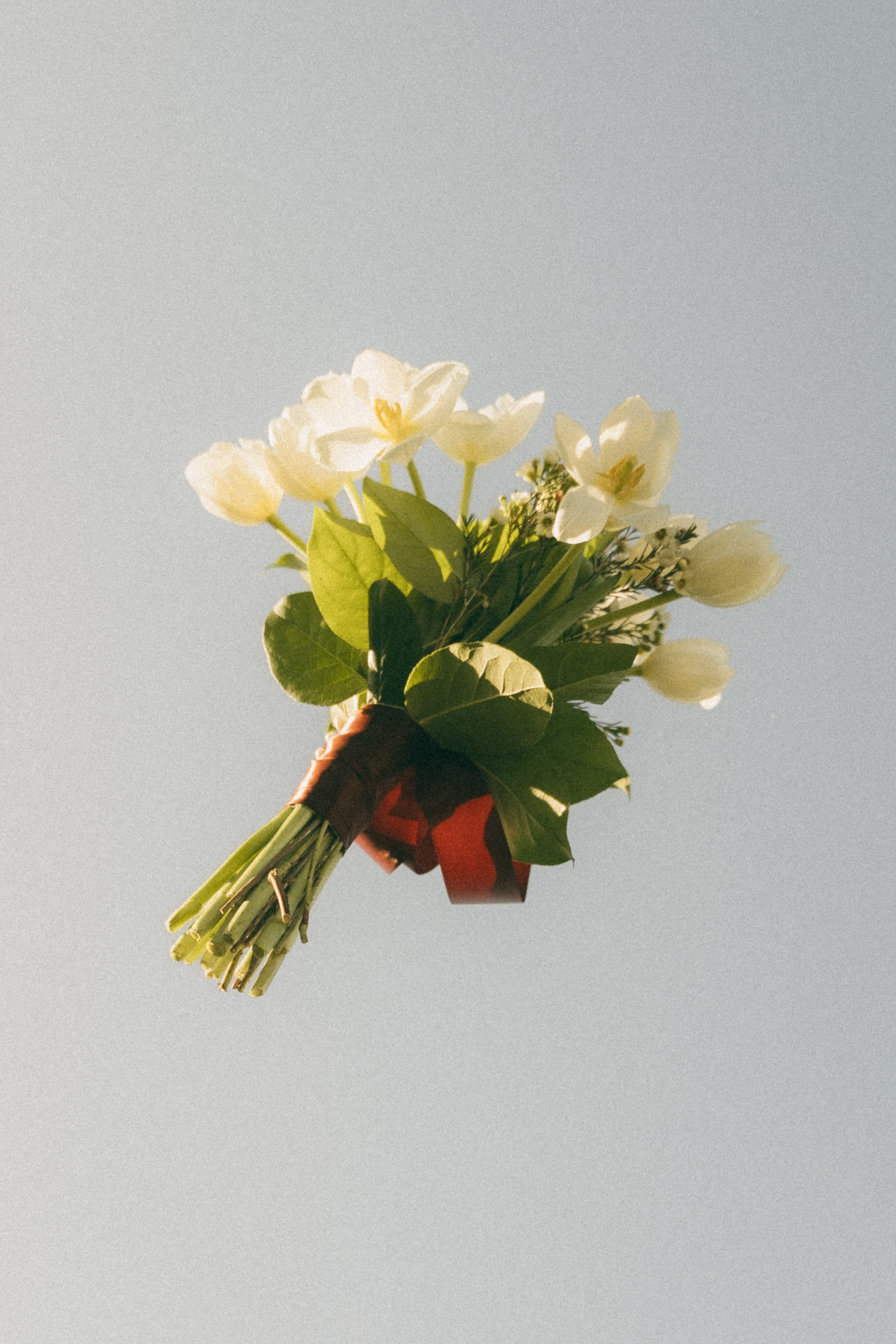 San Francisco Wedding & Elopement Photographeк | photography_of.nadia