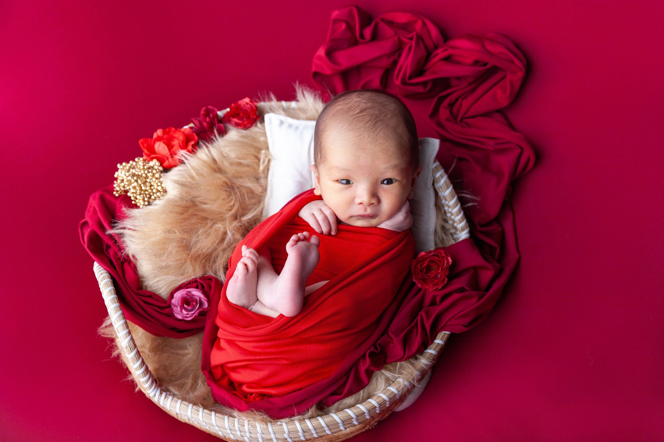 Services. Marina Pravda Photography San Francisco Bay Area