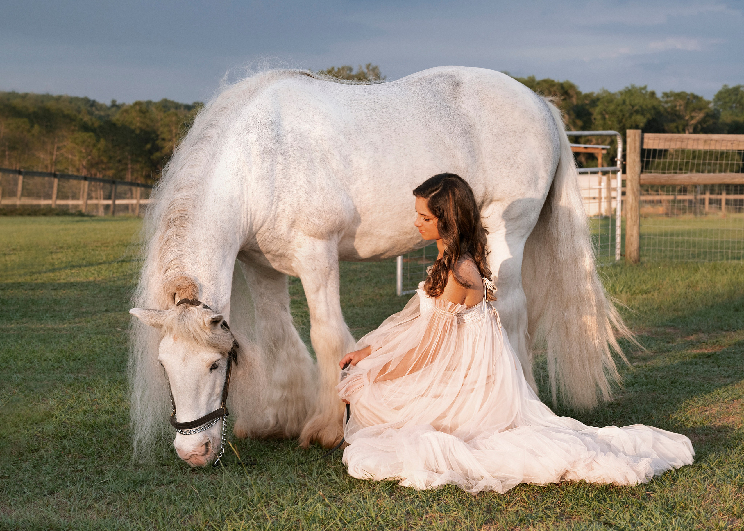 Contact me. Portrait, kids and family photographer in Wesley Chapel Alina Alice Osipova