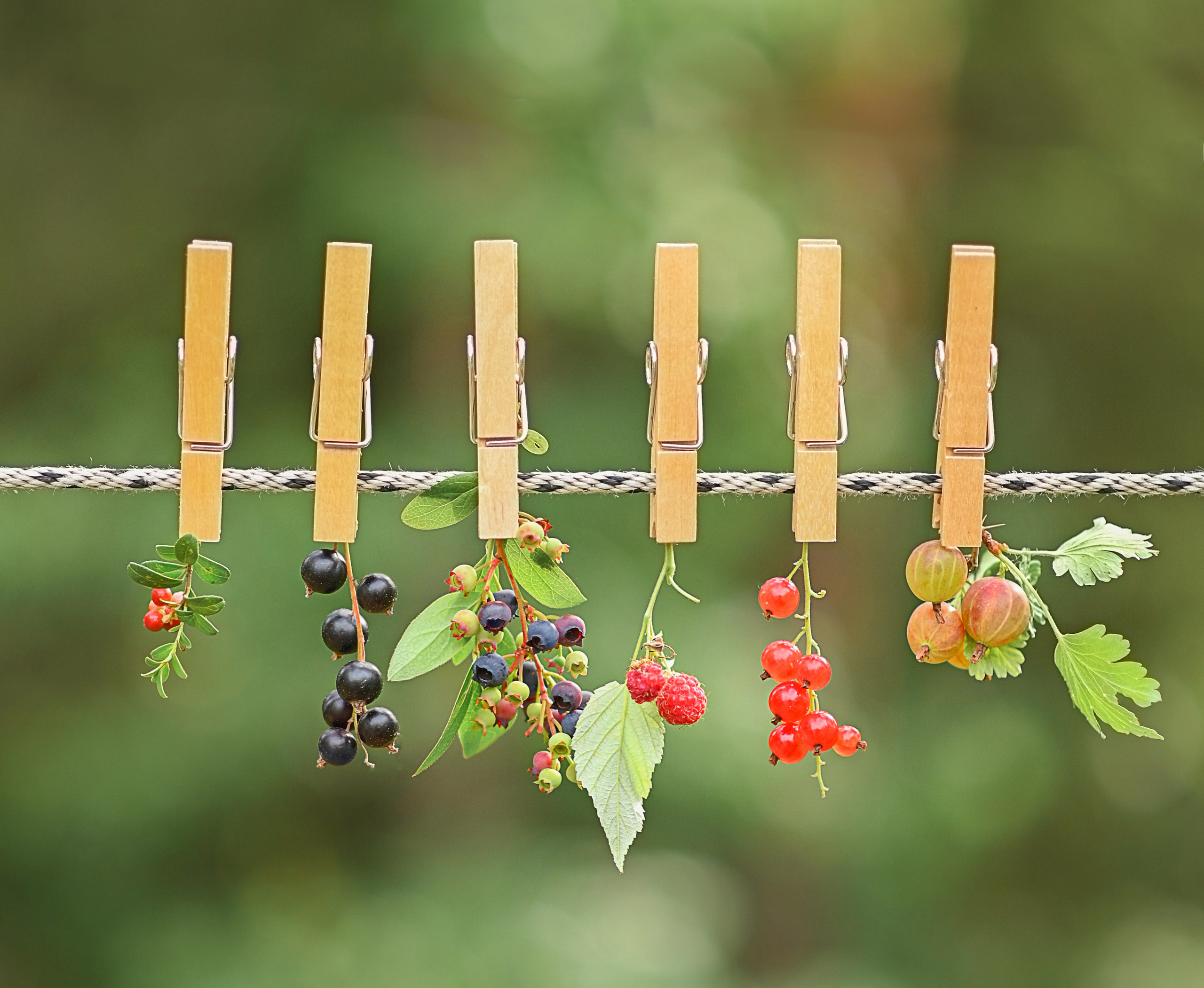 Детский и семейный фотограф в финляндии дина пулкка. контент фотограф