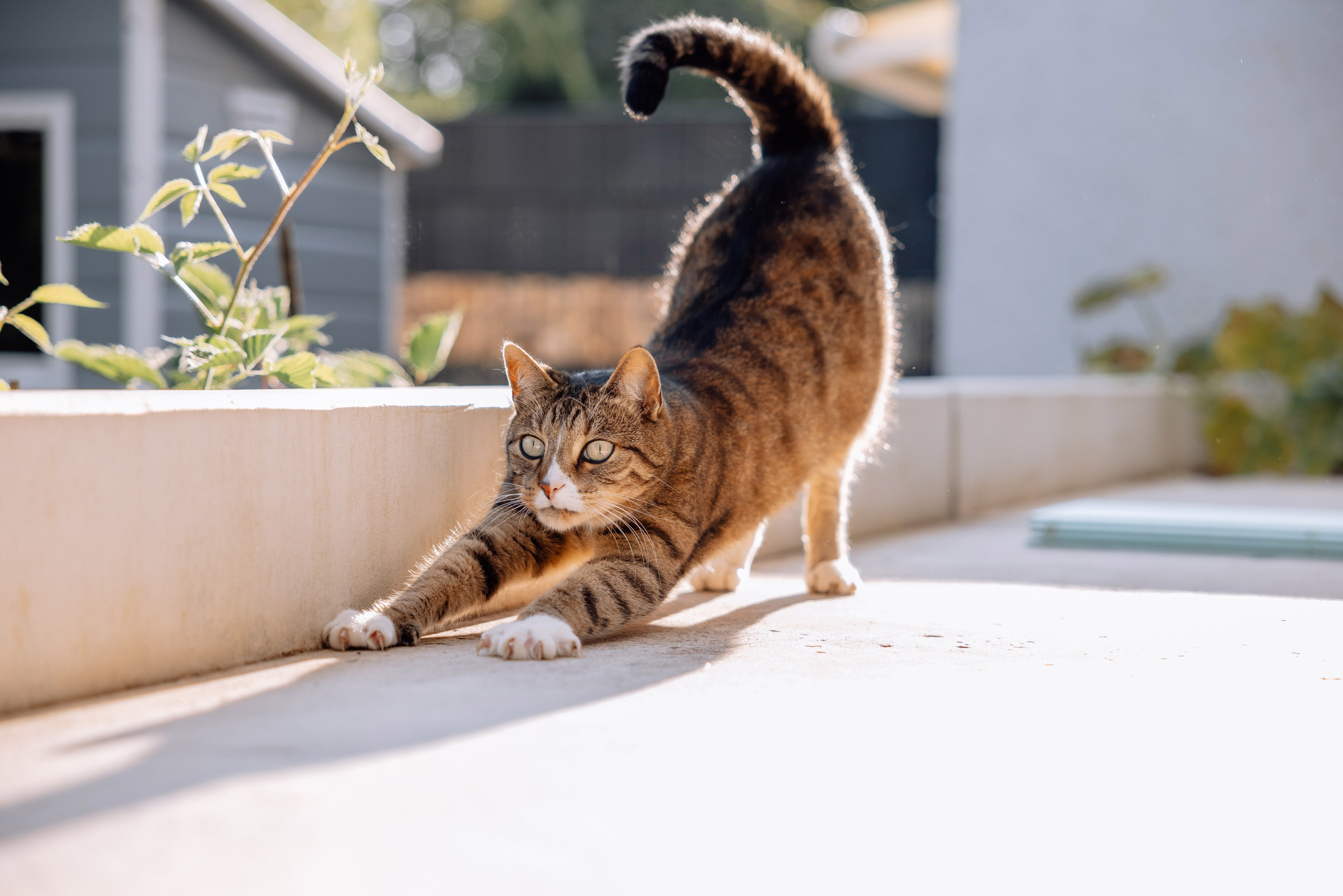 Familienfotoshooting. Hochzeitsfotograf München Taufe Familienfotograf Tanja Mauke