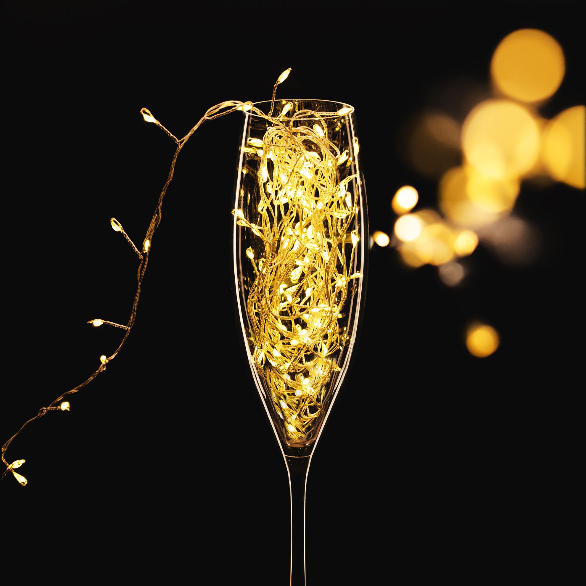 Photographer in the Den Haag Rotterdam Amsterdam Osypenko Oksana