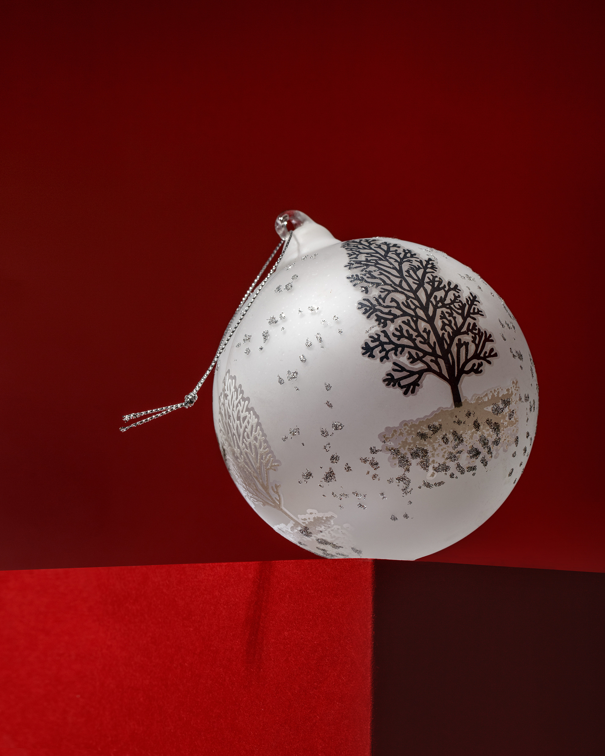 Photographer in the Den Haag Rotterdam Amsterdam Osypenko Oksana