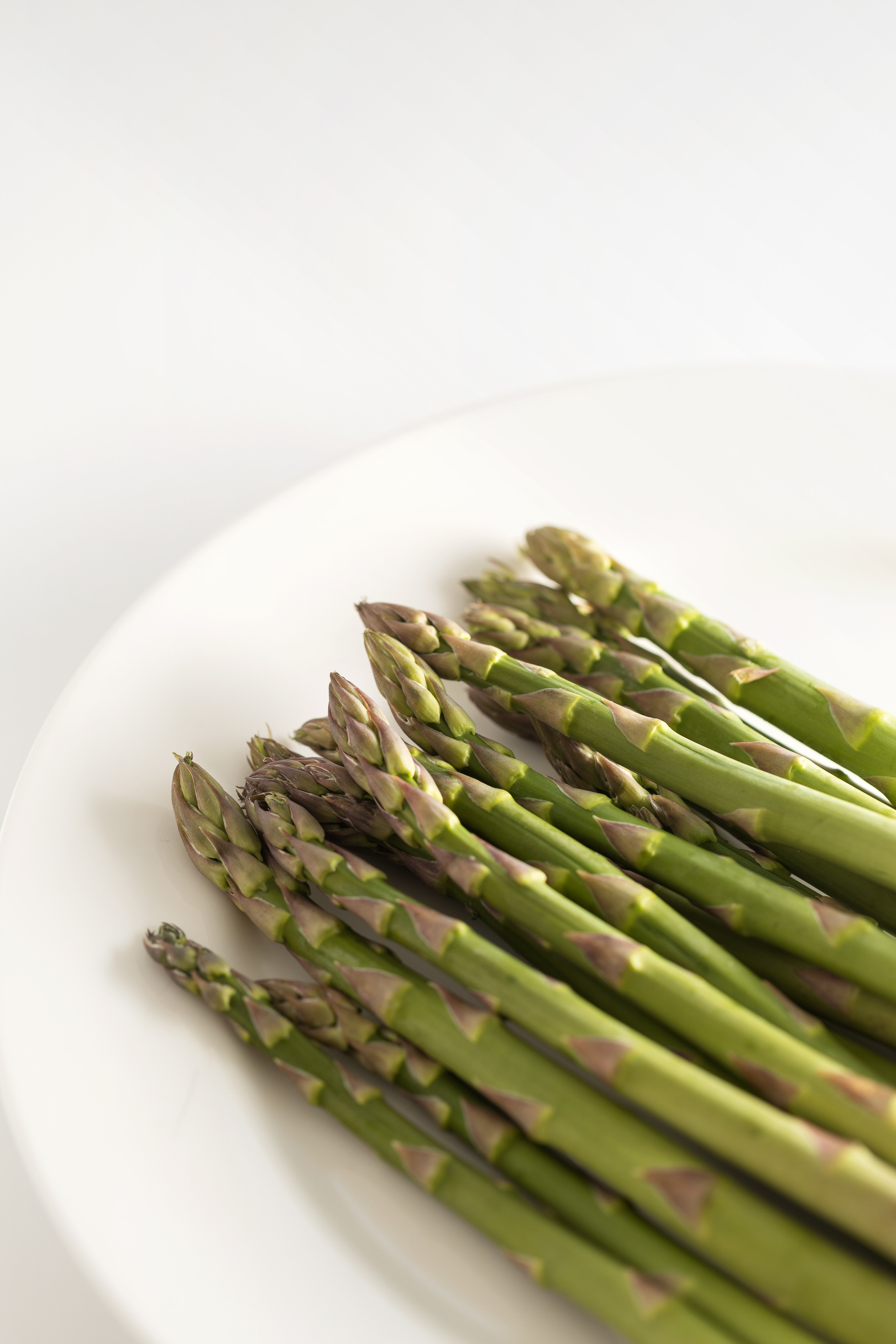 Photographer in the Den Haag Rotterdam Amsterdam Osypenko Oksana