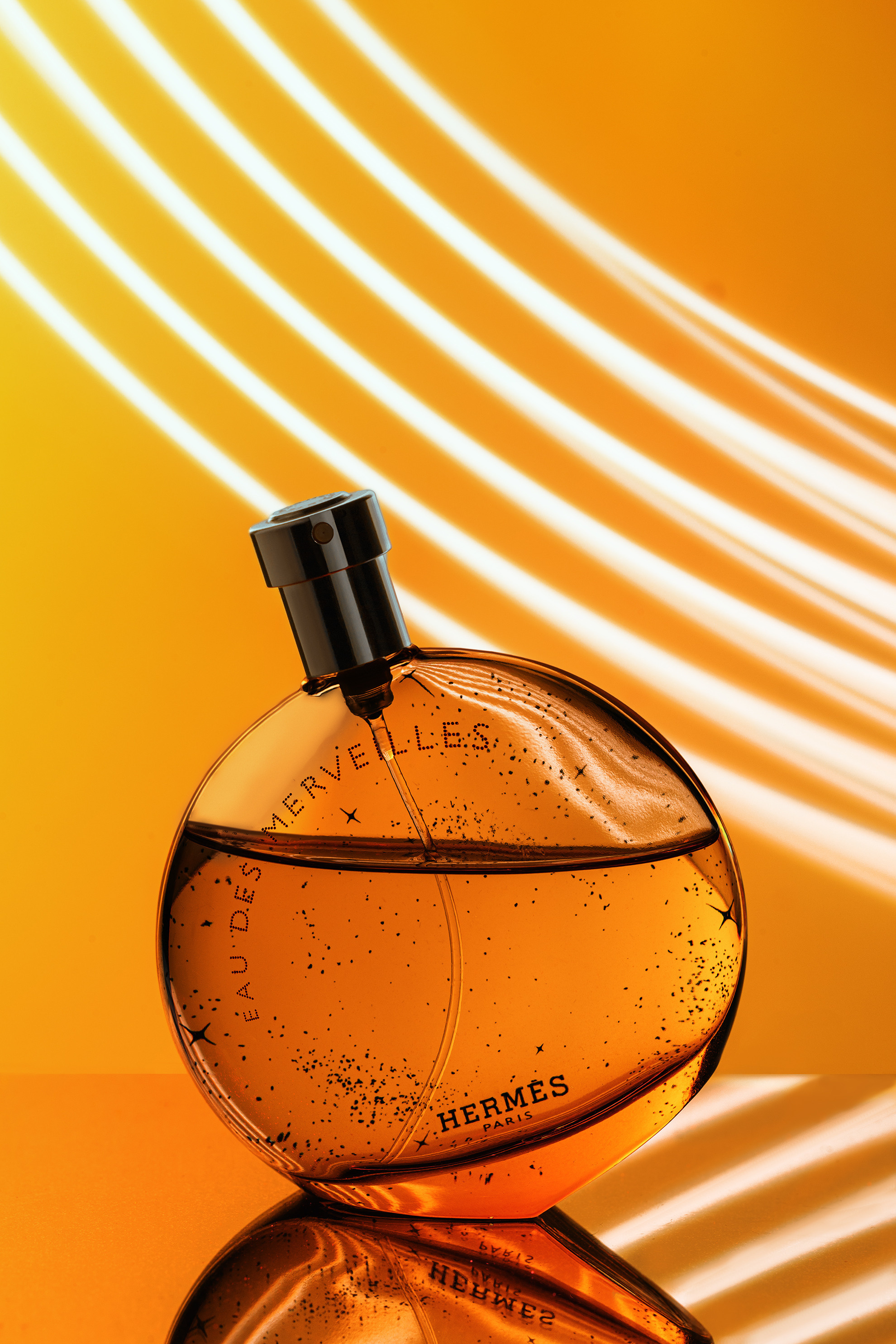 Photographer in the Den Haag Rotterdam Amsterdam Osypenko Oksana