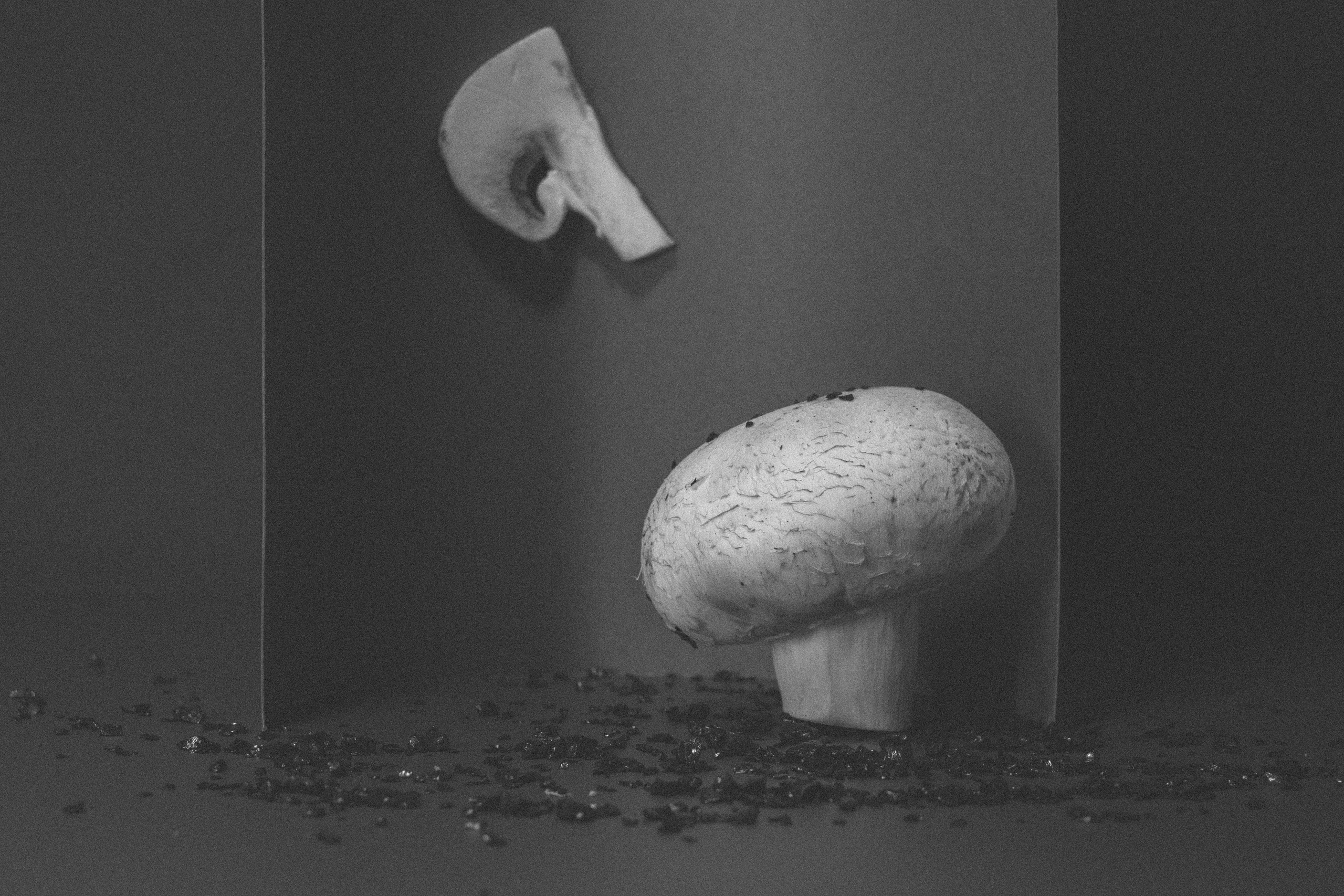 Factory (2023). Ant | photo