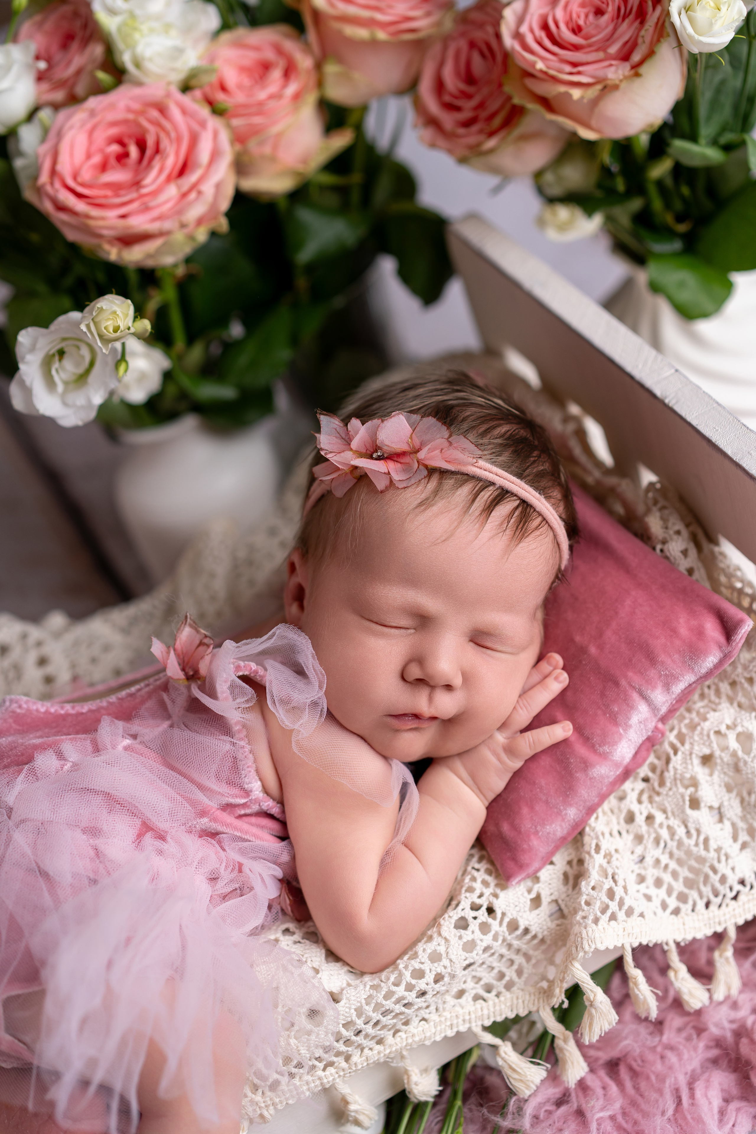 Neugeborenenfotos in Berlin – Studio oder bei Ihnen zu Hause