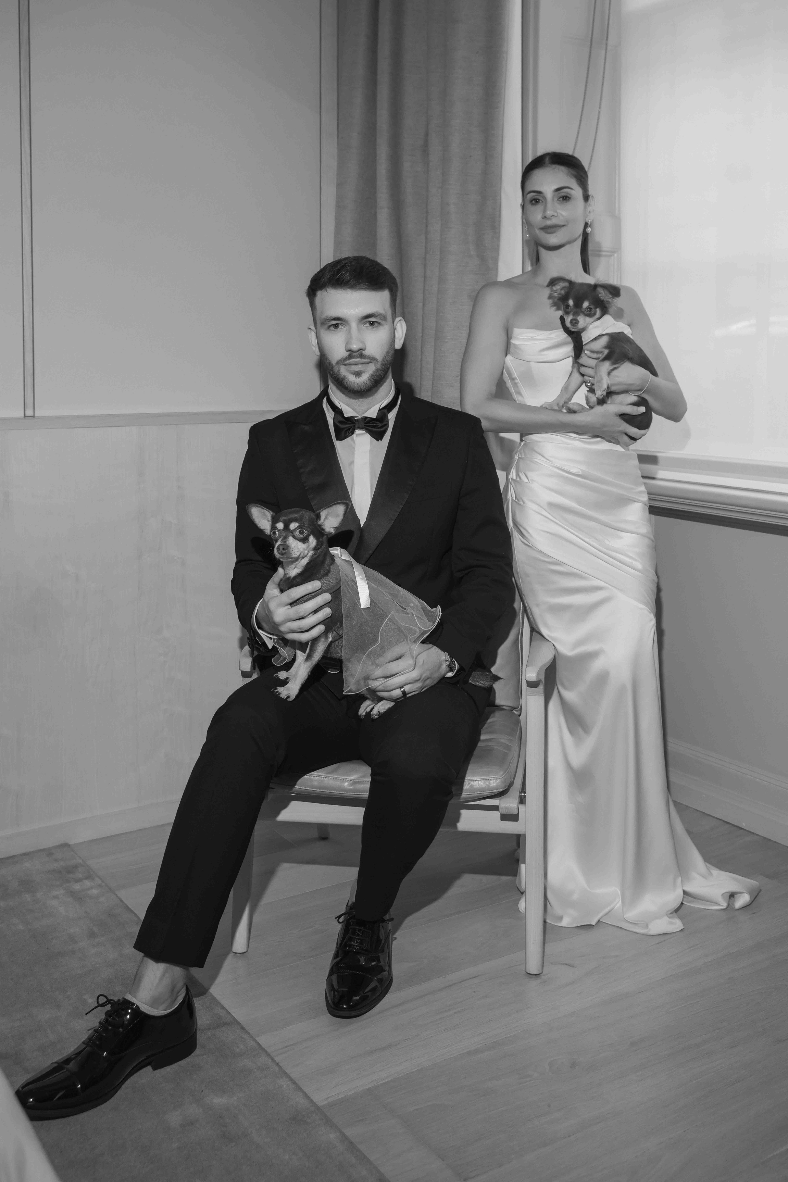 black and white wedding portrait with dogs London intimate wedding bride groom and pets emotional candid photography UK