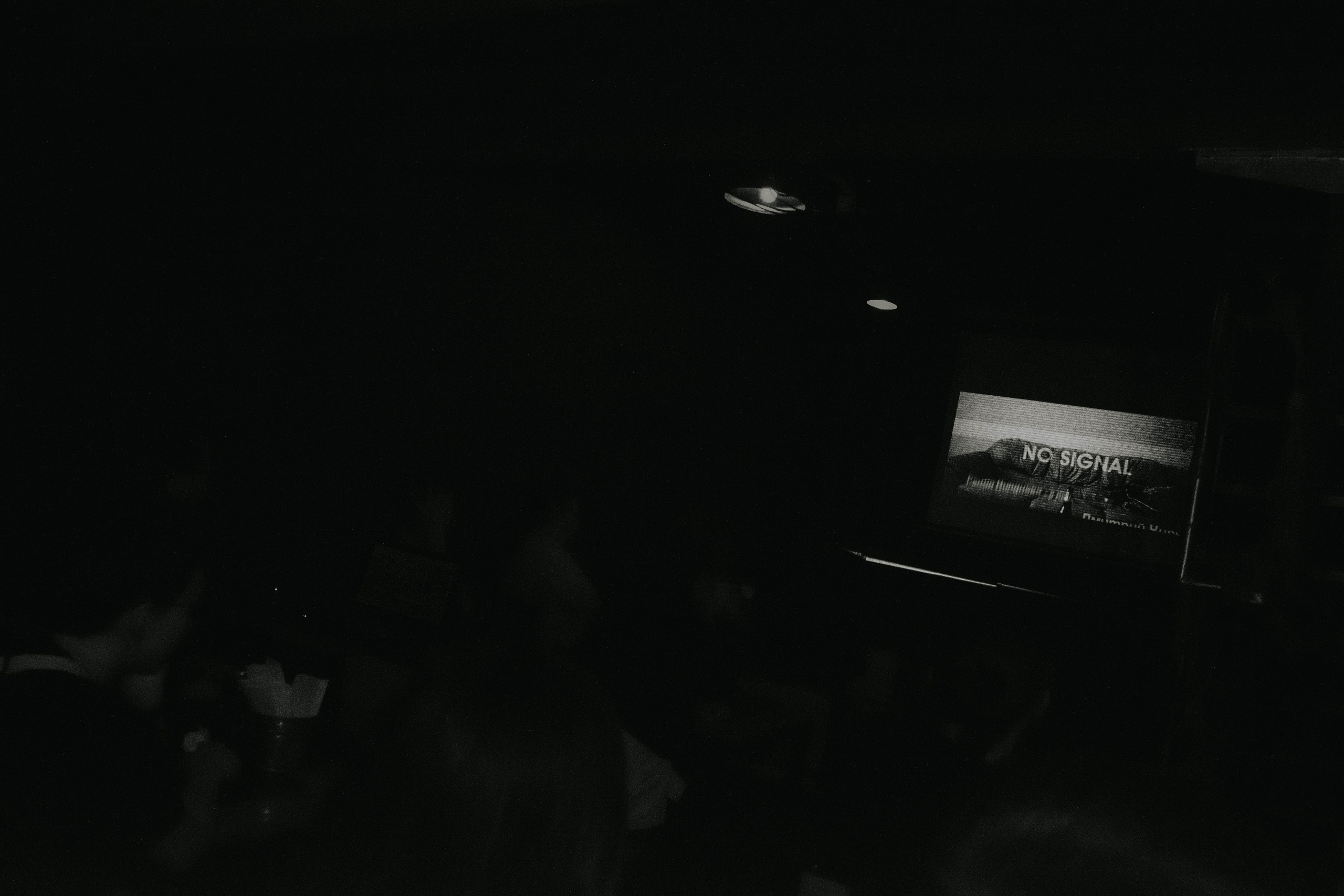 Kiski-mushki. Photographer @elmirkami in the city of Buenos Aires