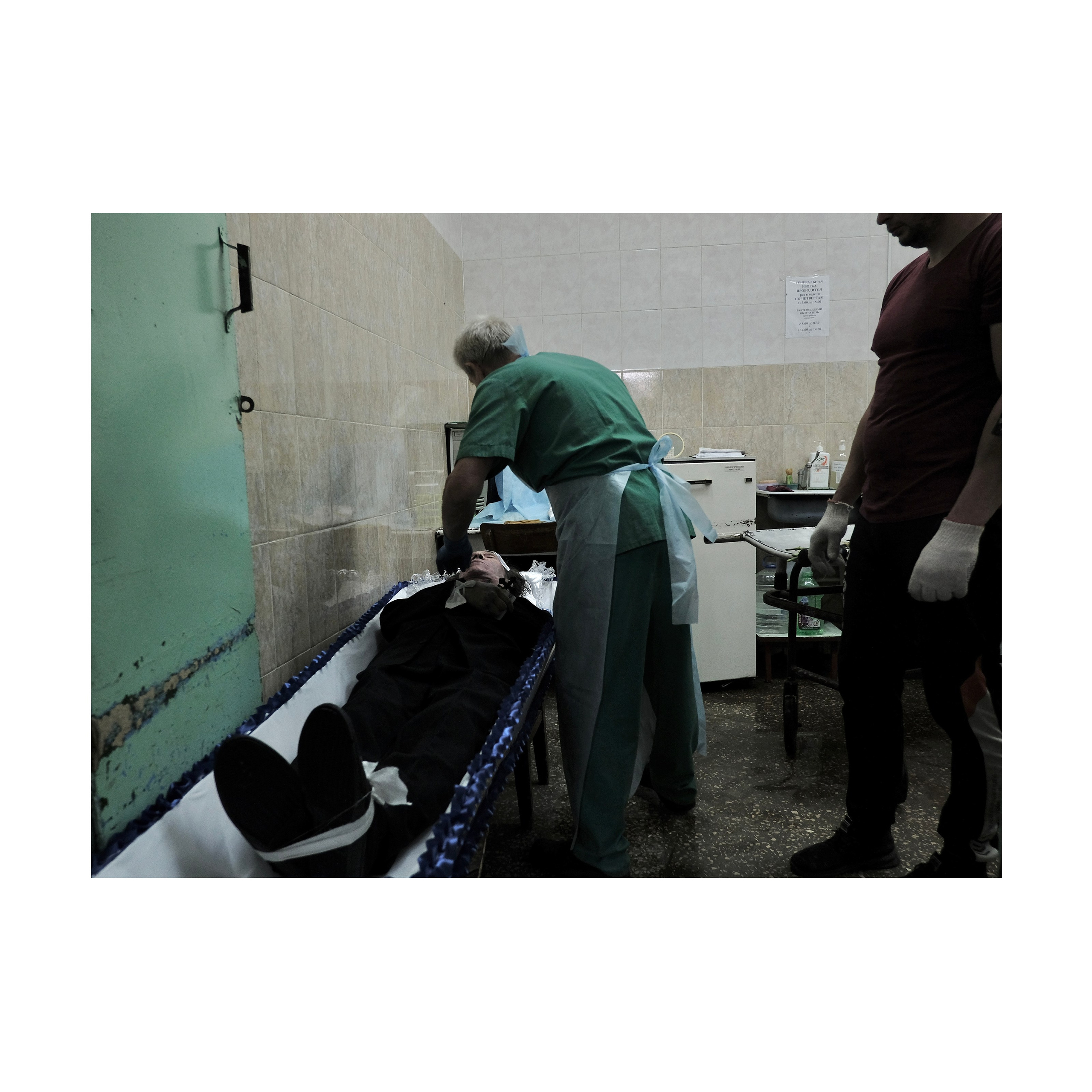 Phoenix. Nelly Elagina