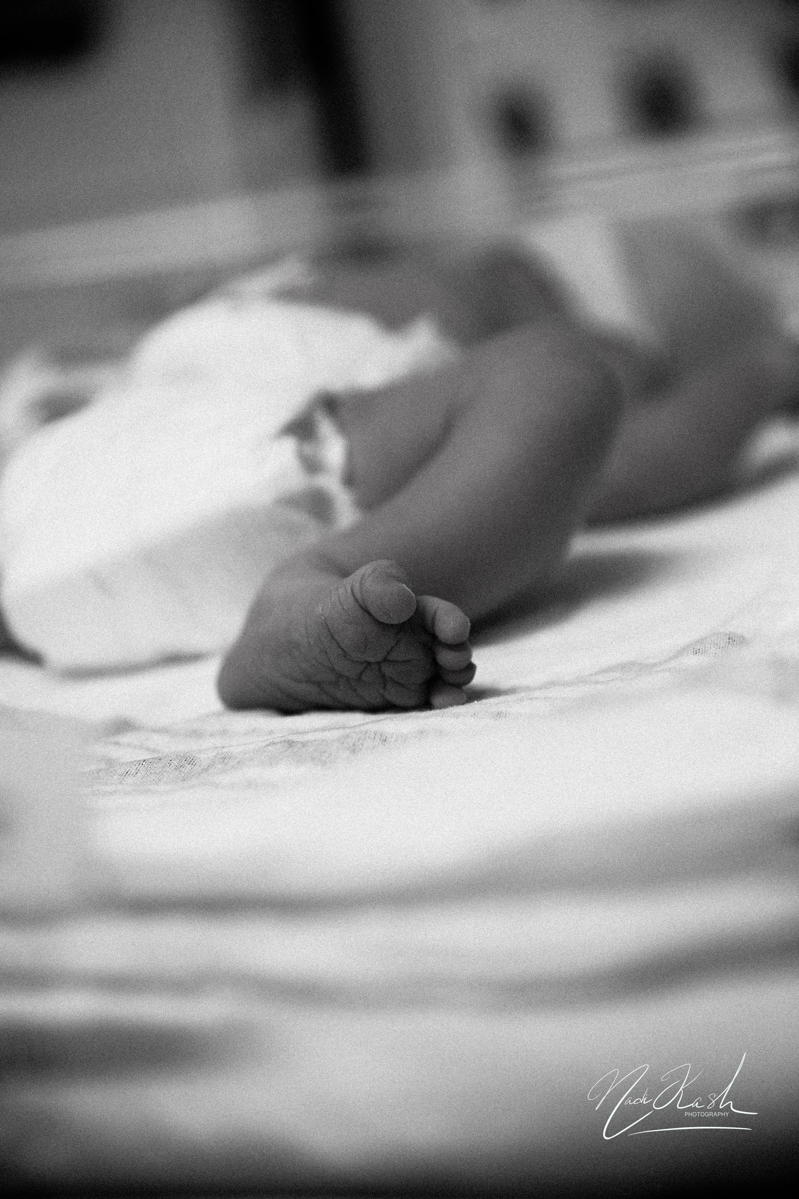 Photographer in Miami, Family photographer, Event, Wedding