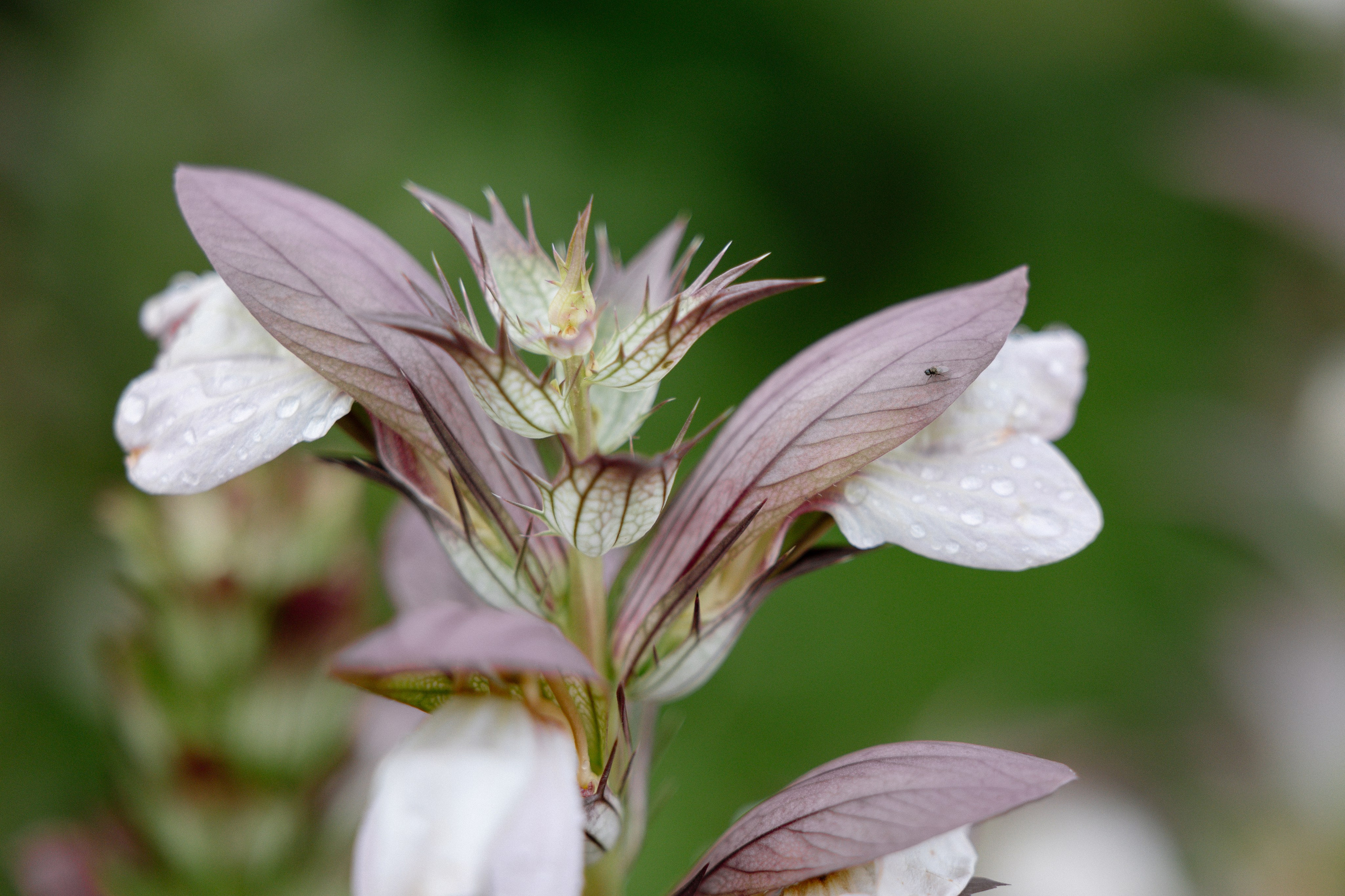 Intimate and emotional wedding. Timeless Wedding & Event Photography from London to the world