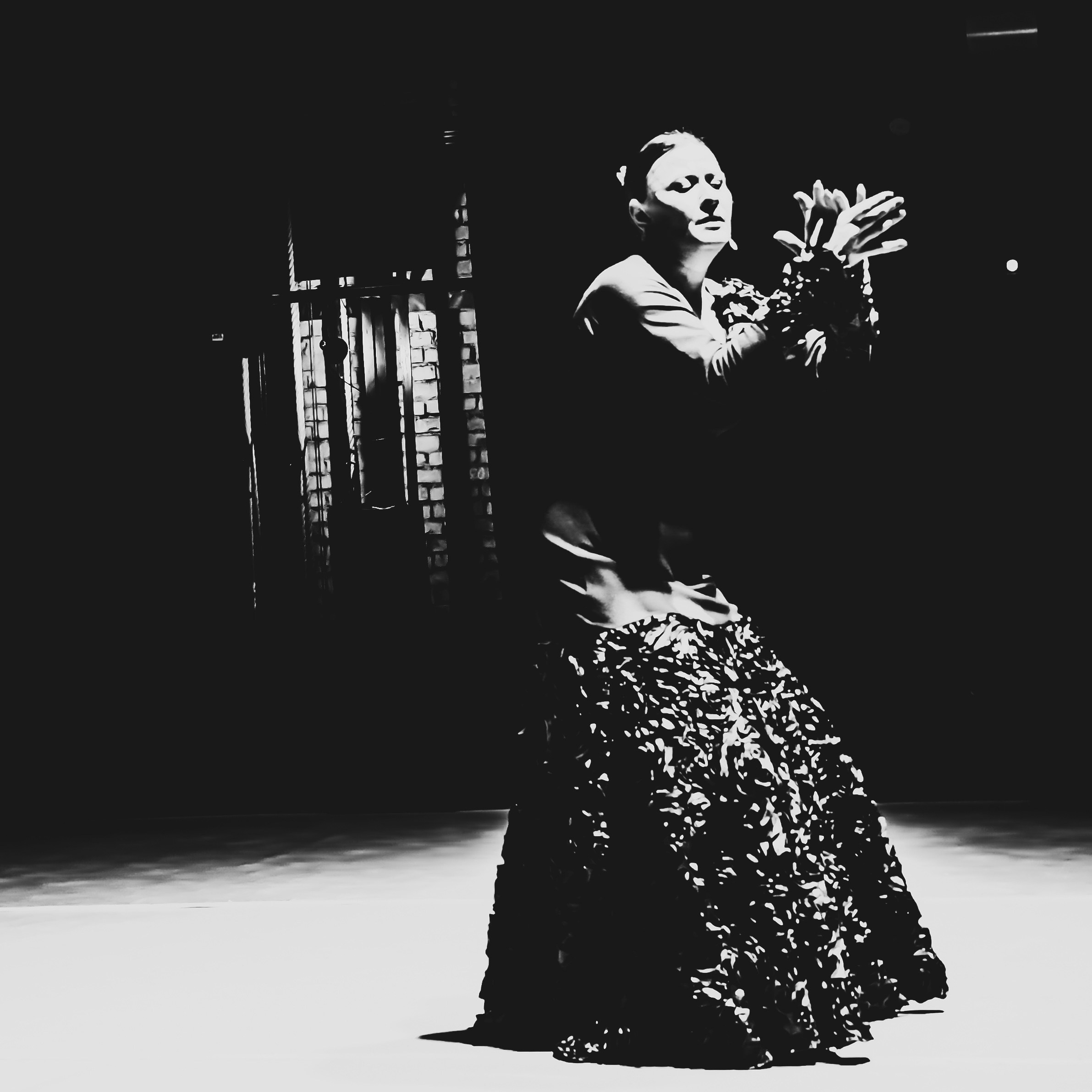 Flamenco rhythm. Dedicated to Olga Samoylova and the art of flamenco in general. Ekaterina Tsurkina-Appina Photography Canada