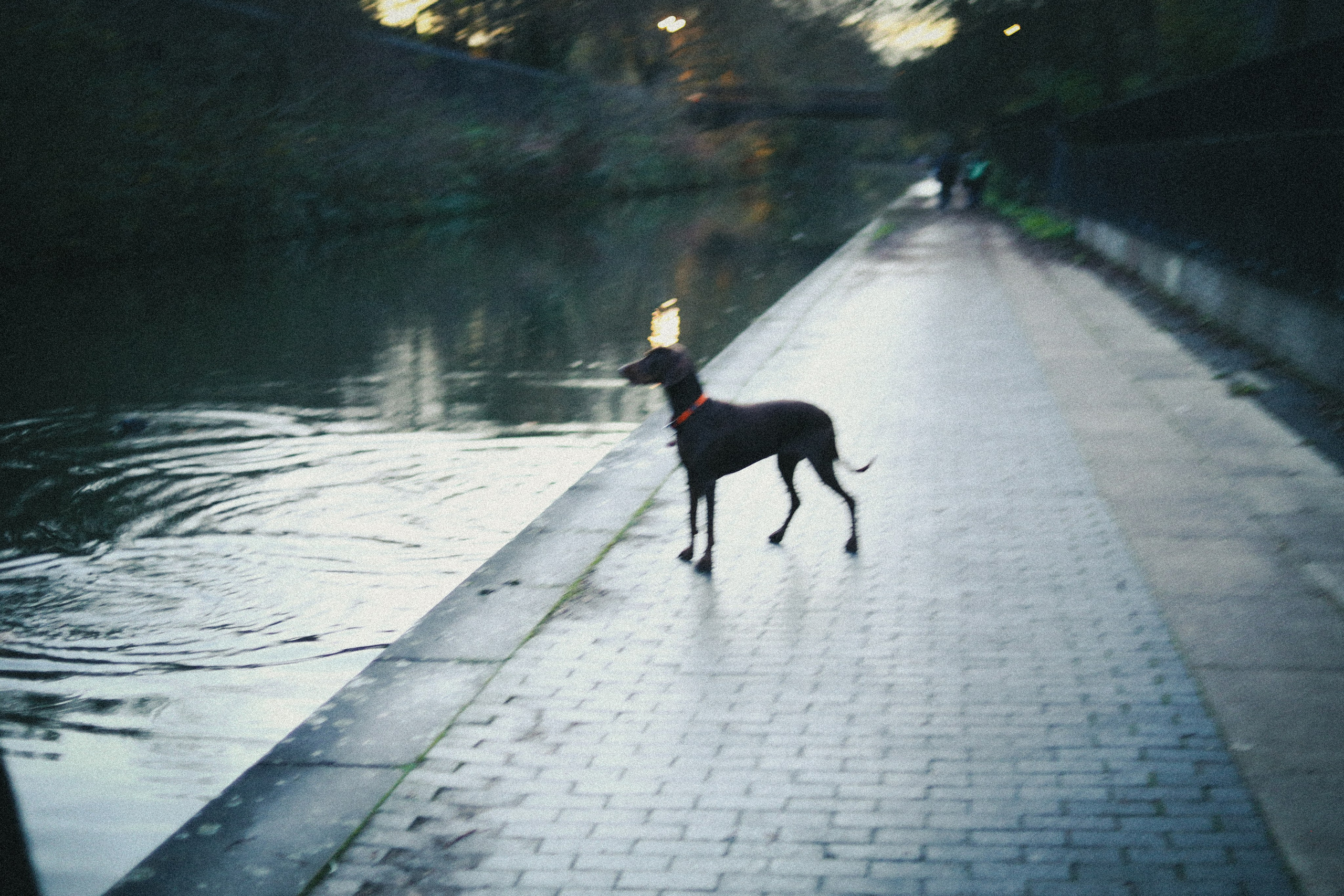 Regents Canal Vi. Виктория Дини. Арт-фотография