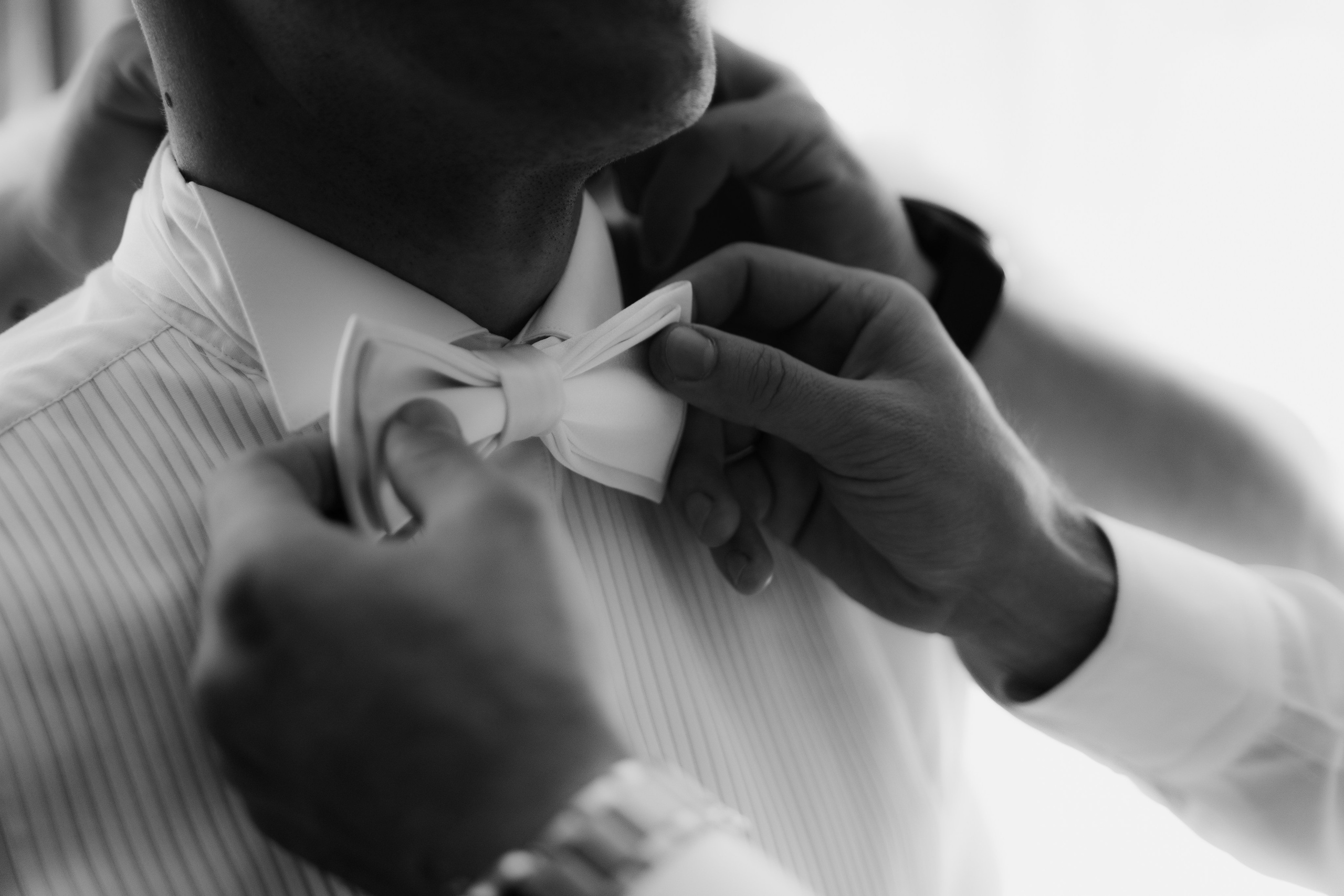 Pachete. STORYCATCHERS