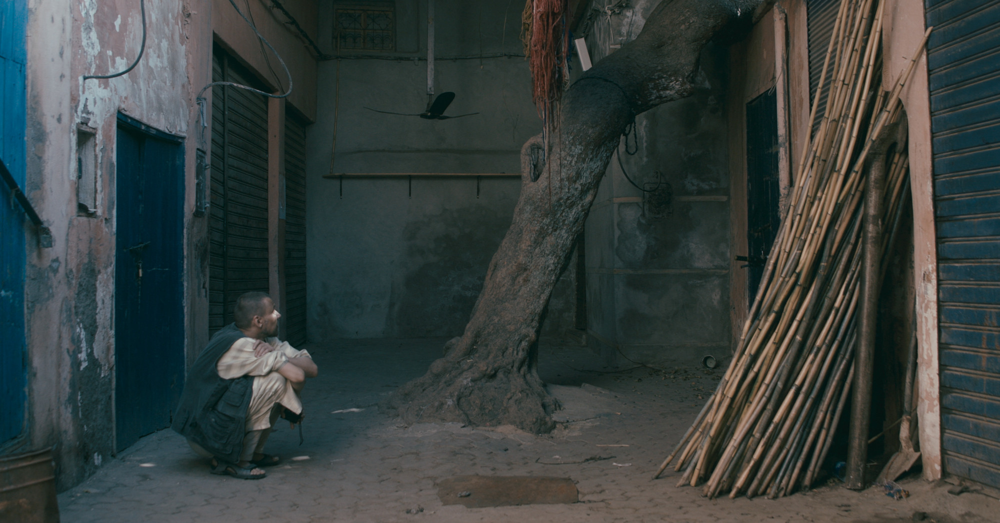 Haqiqa. Singularity Film