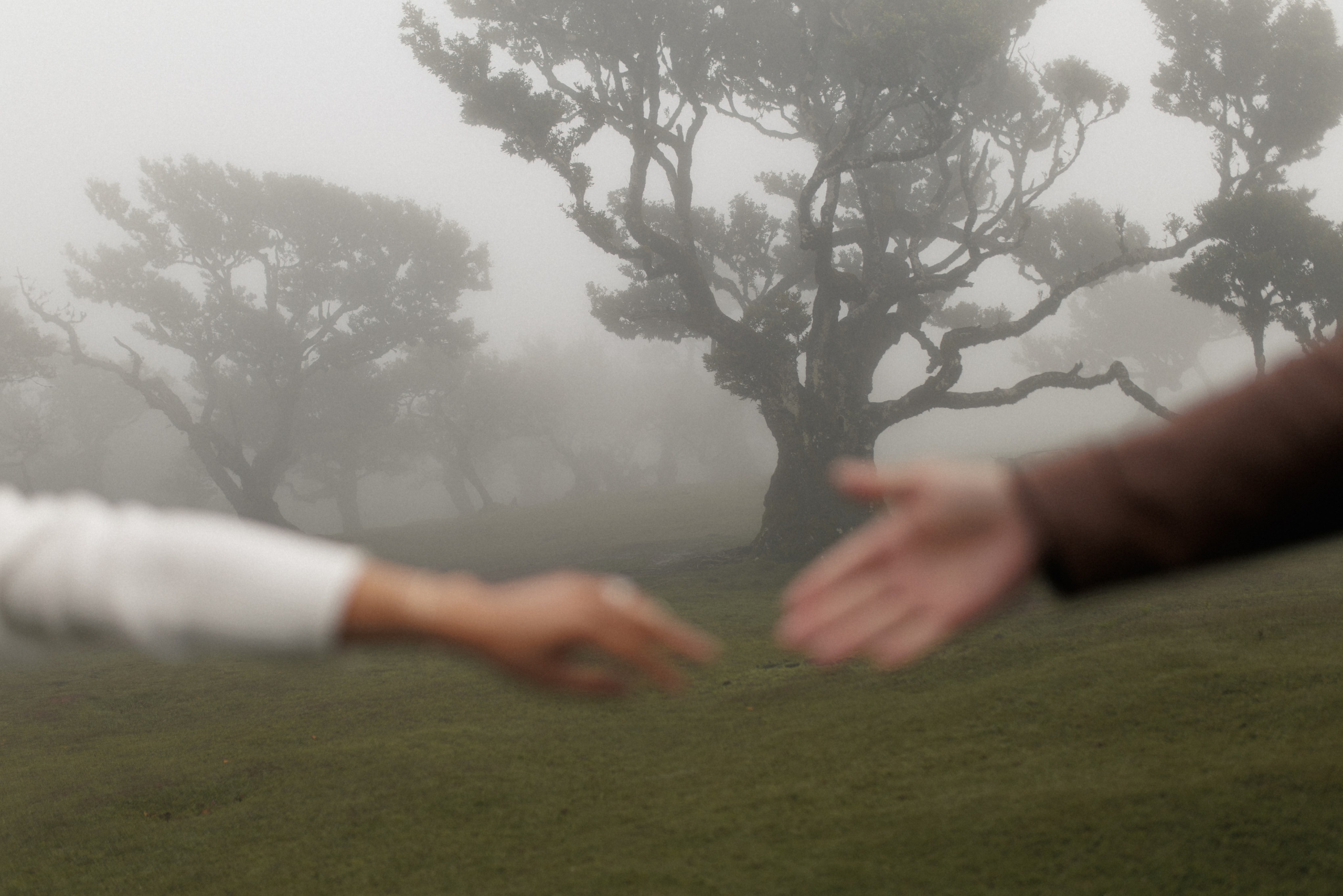 Dream Proposal at Seixal Beach — Romantic Getaway in Madeira. Wedding photographer and videographer based in Timisoara, Romania