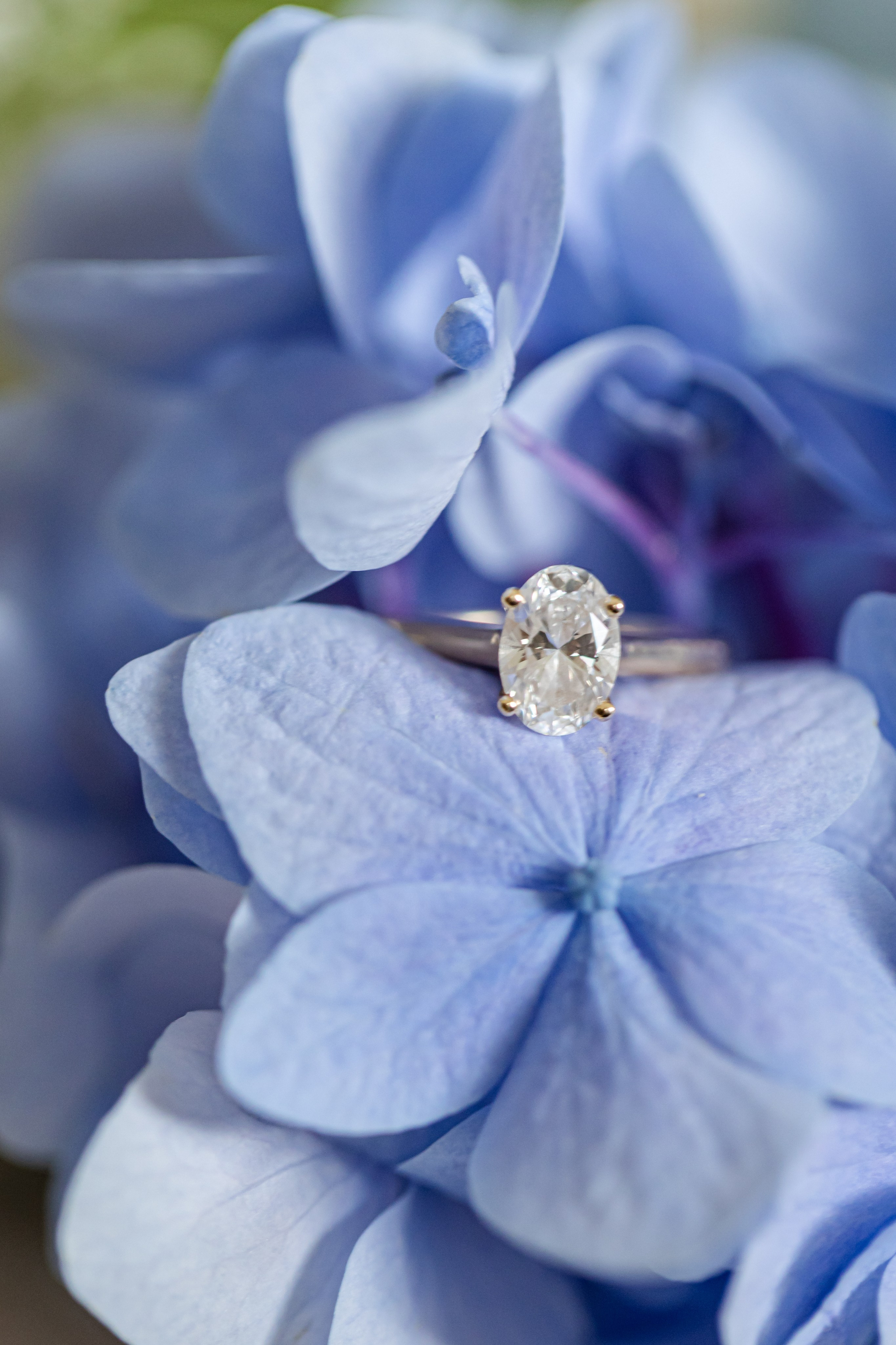 Blue wedding of Stacey and Madison at Liberty Hall Bed & Breakfast located in Traveler’s Rest SC. Wedding and portrait photography in Greenville SC