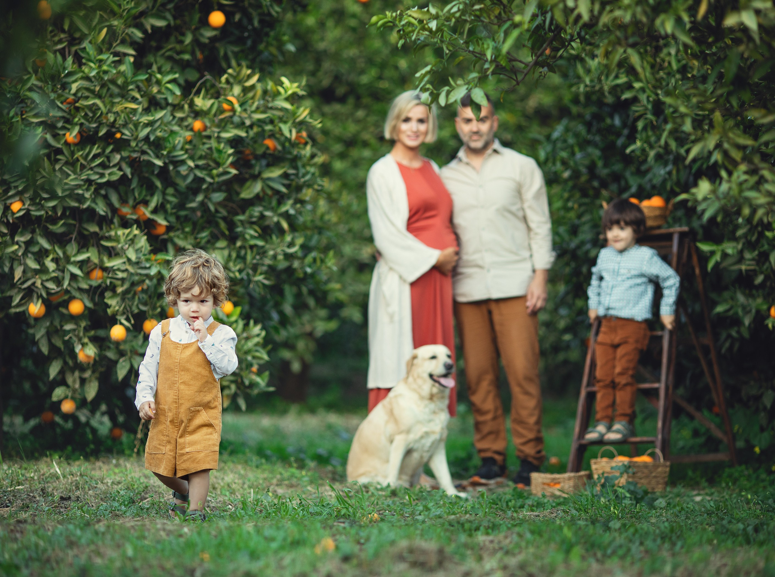 La magia de la espera. Fotógrafo Almeria. Swetlana Ushakova