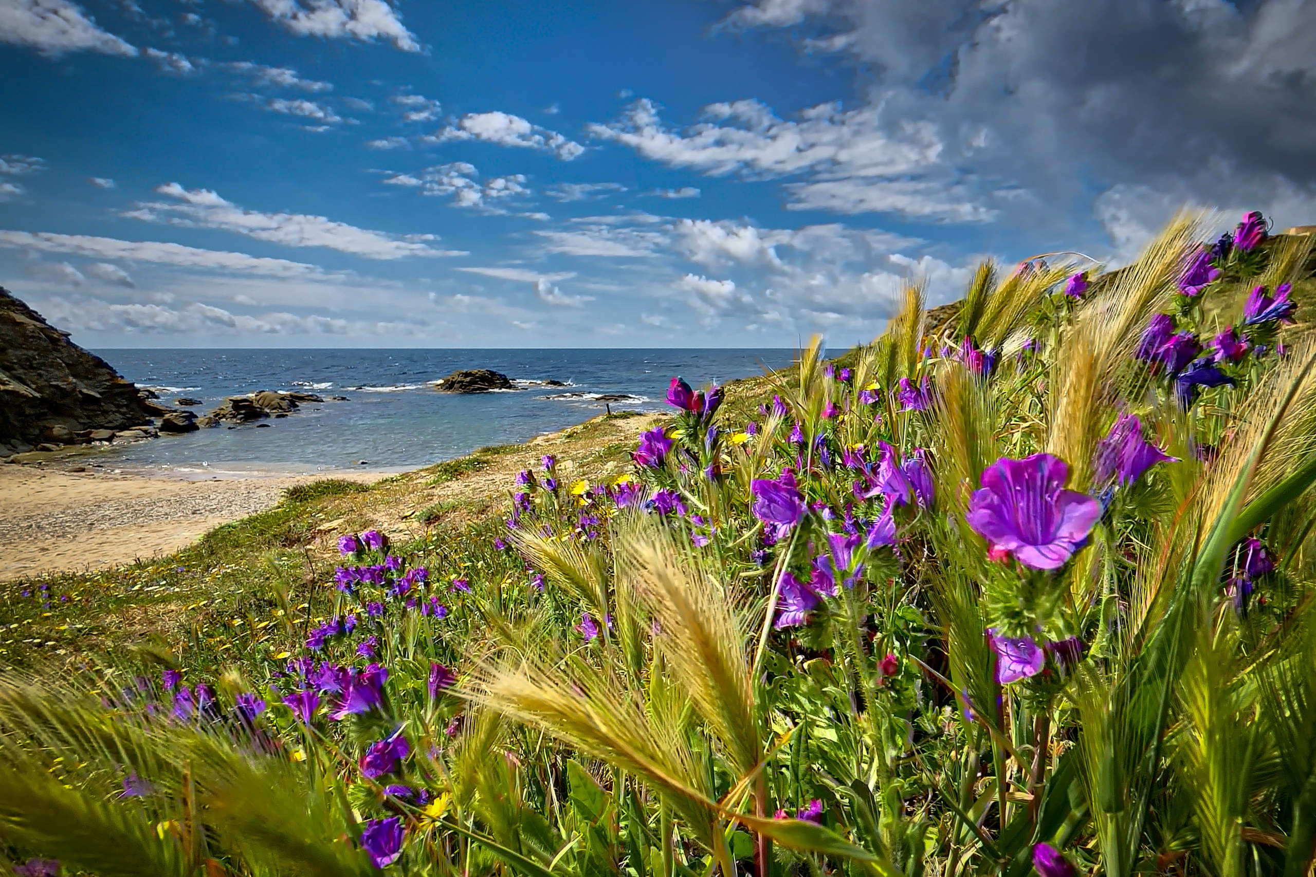 Paesaggi. Olga Manukhina fotografo in Sardegna