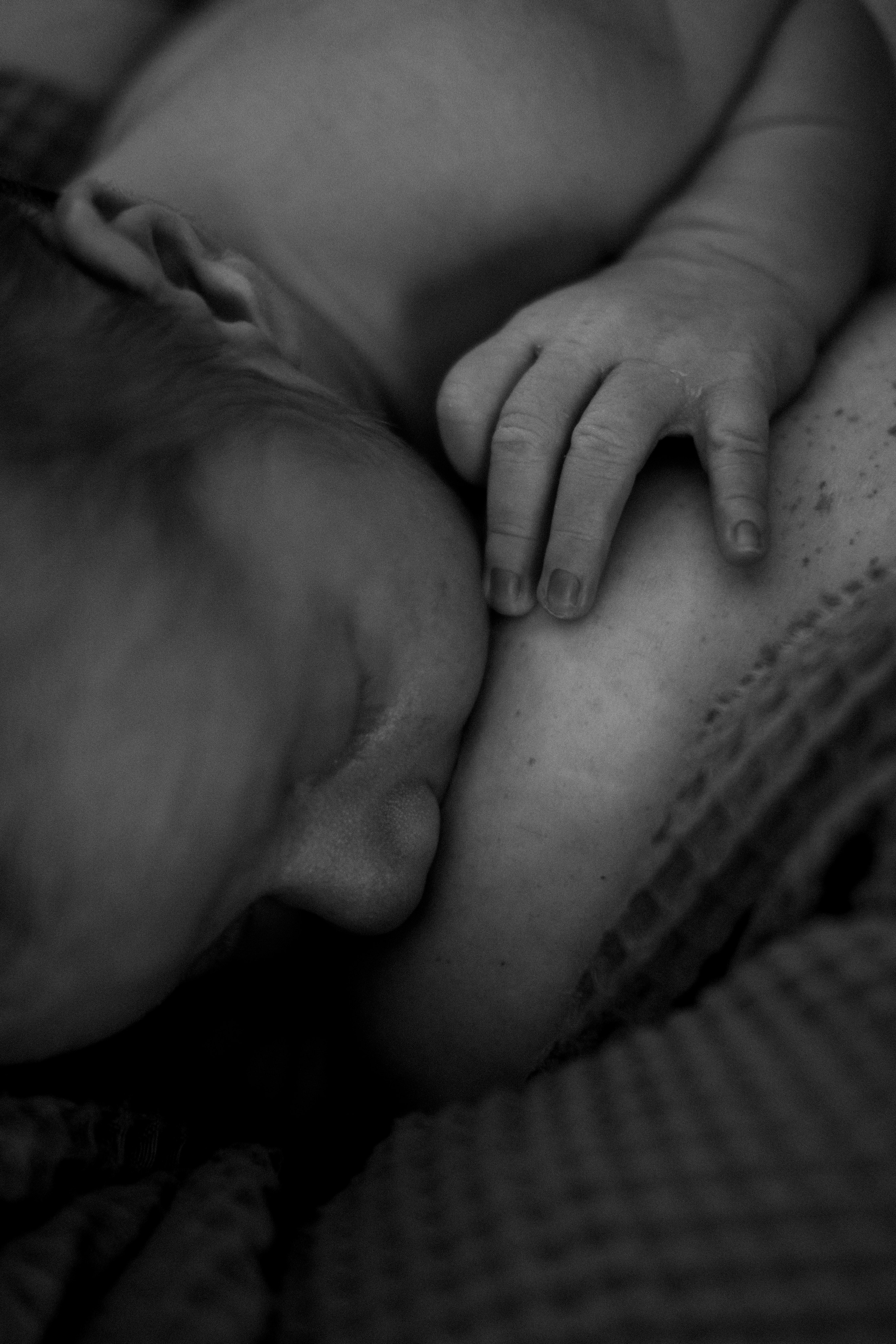 What to Expect from a Relaxed, In-Home Newborn Photo Session | Richmond, VA. Family Photographer Anna Dobrovolskaia | Richmond, VA