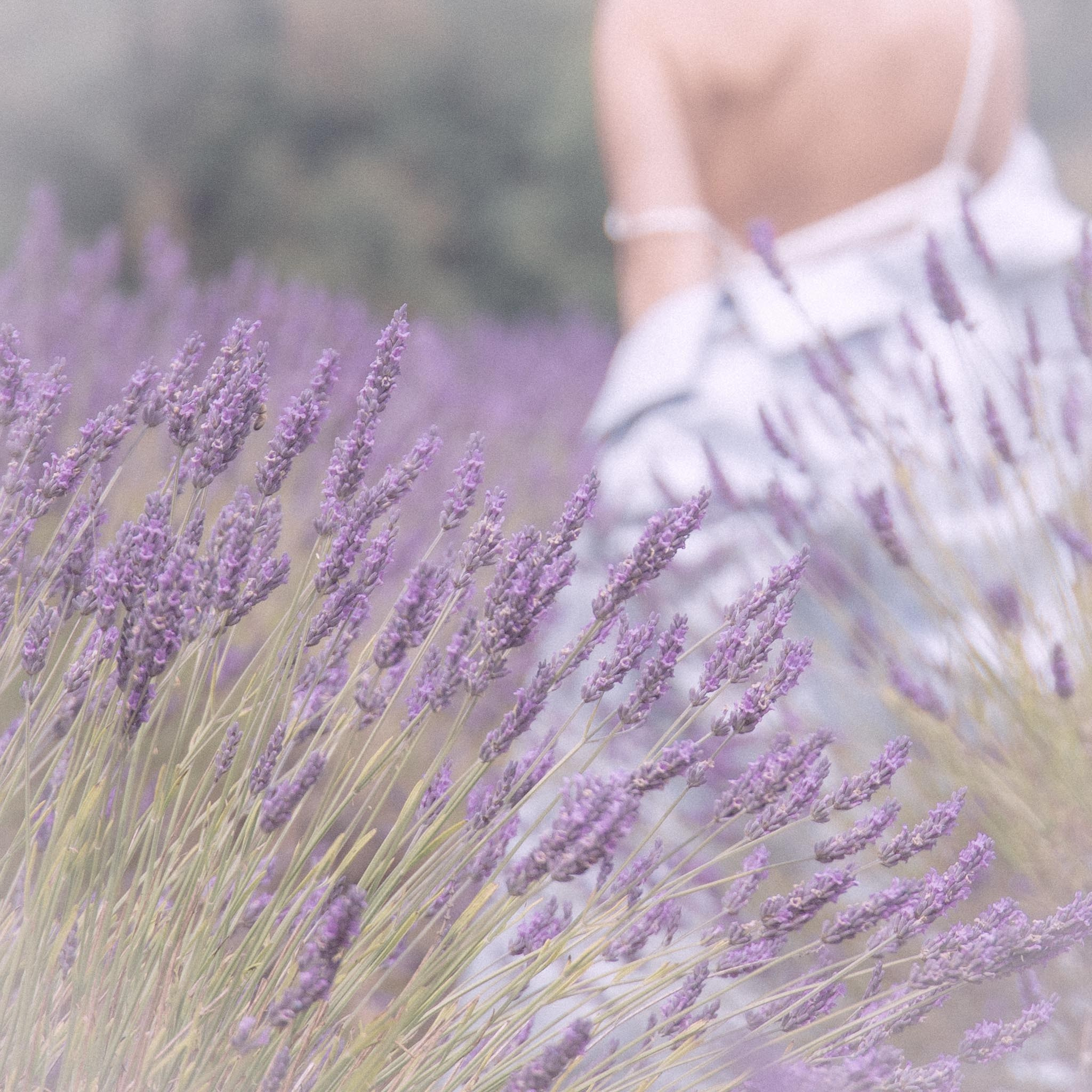 In Harmony with Nature. Natalja Poplavska — Visual artist, Photographer, East Sussex, London