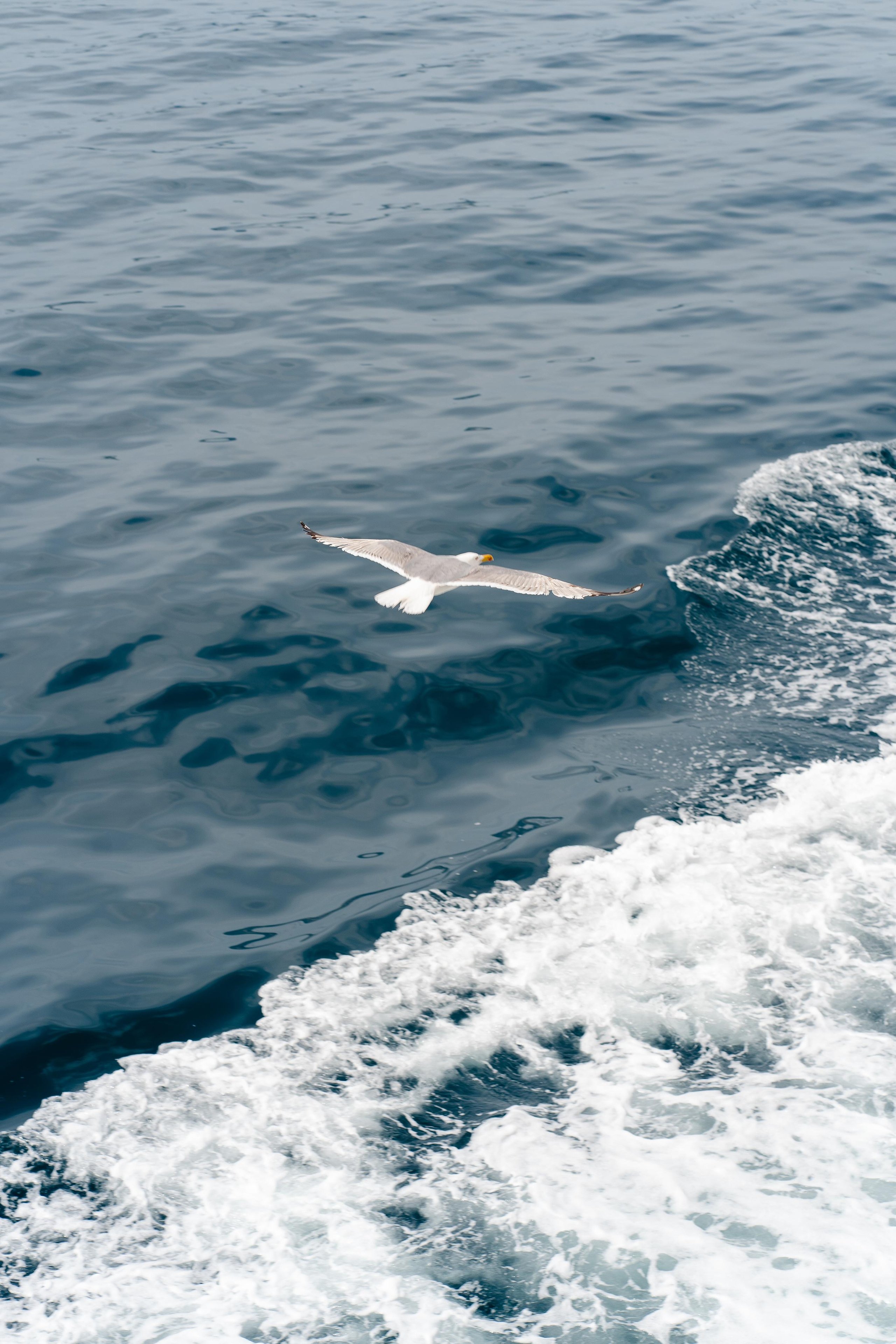 Abenteuer Neapel: Unsere Reise als Hochzeitsfotografen
