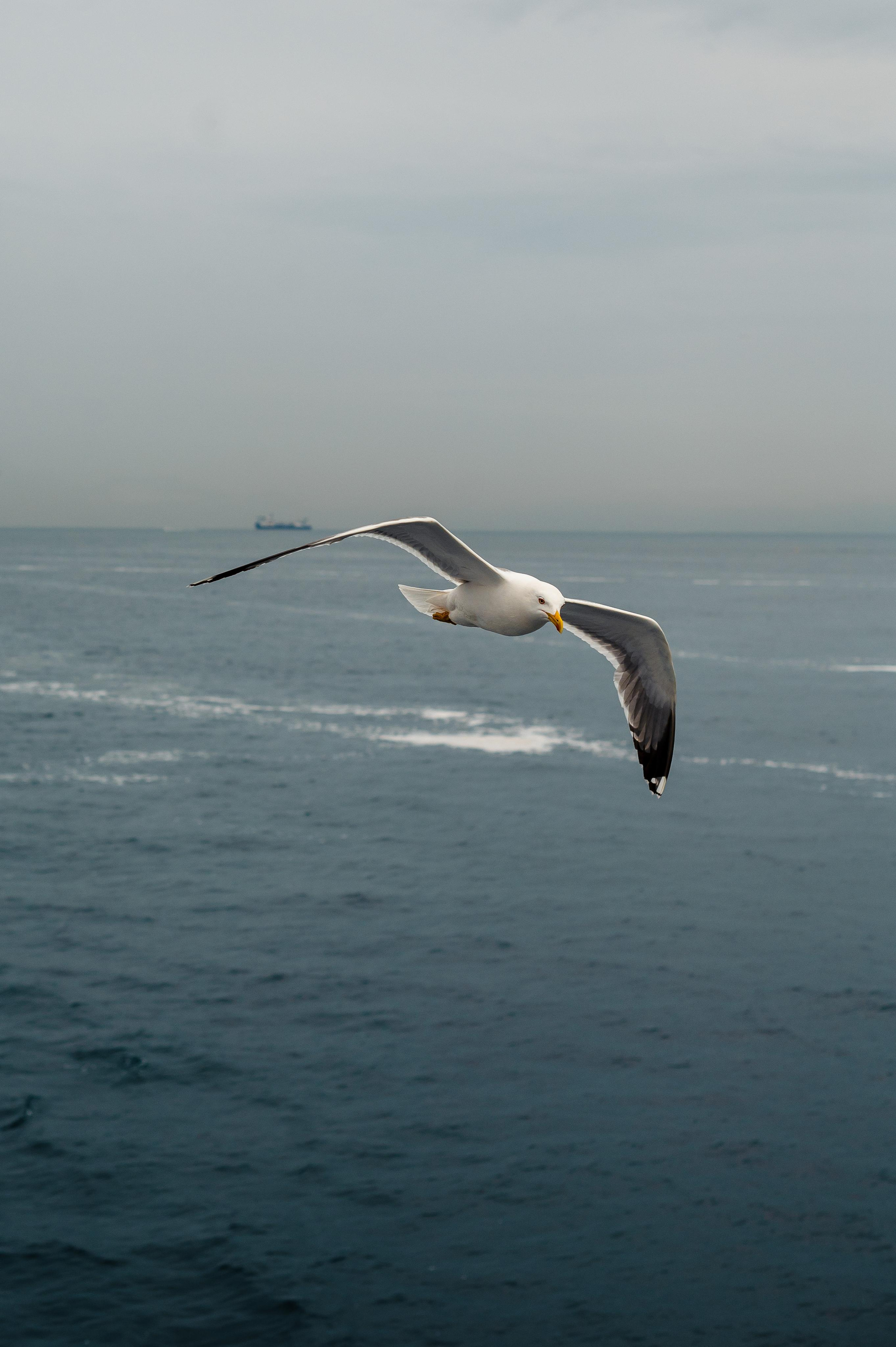Abenteuer Neapel: Unsere Reise als Hochzeitsfotografen