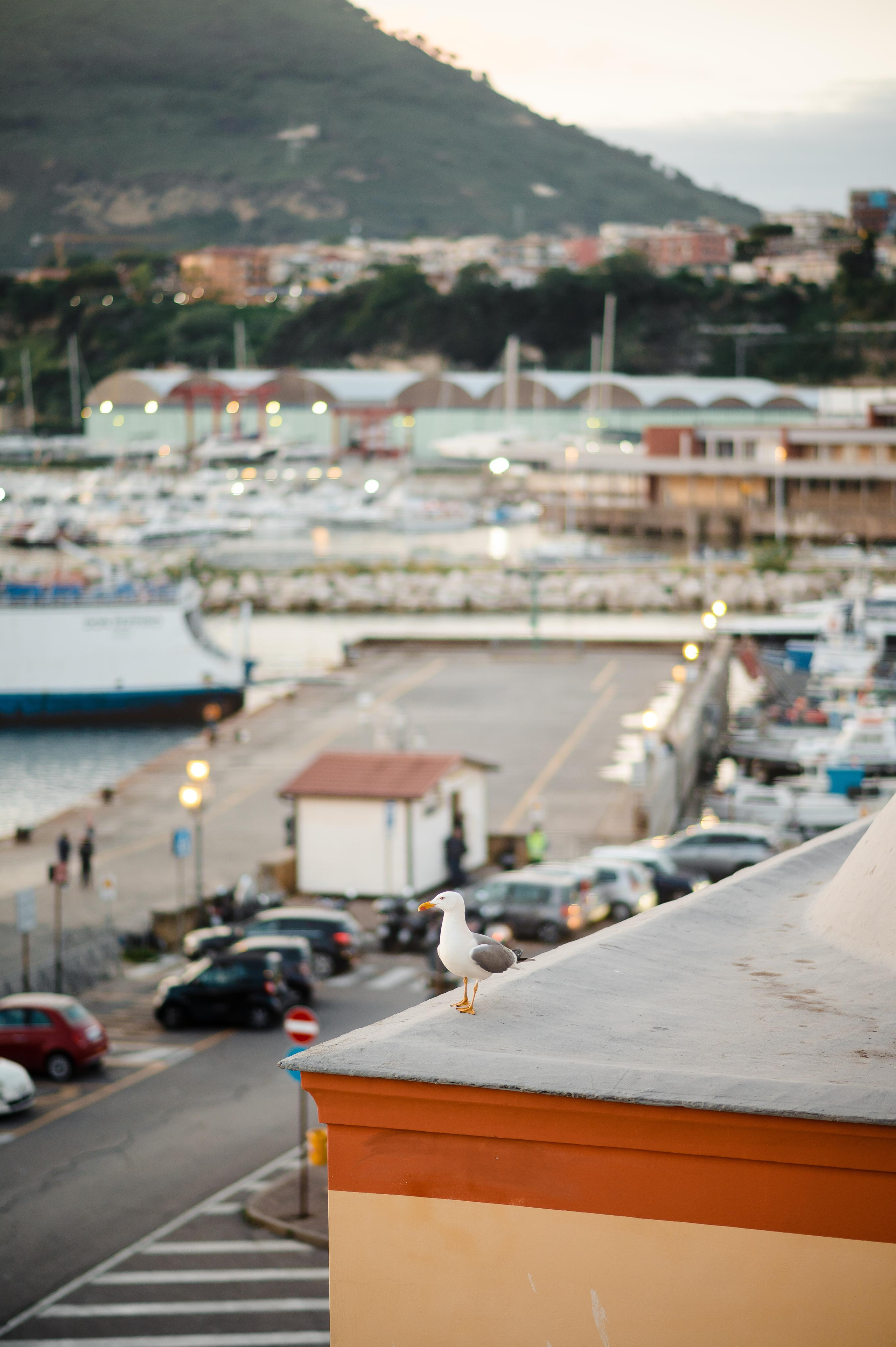 Abenteuer Neapel: Unsere Reise als Hochzeitsfotografen