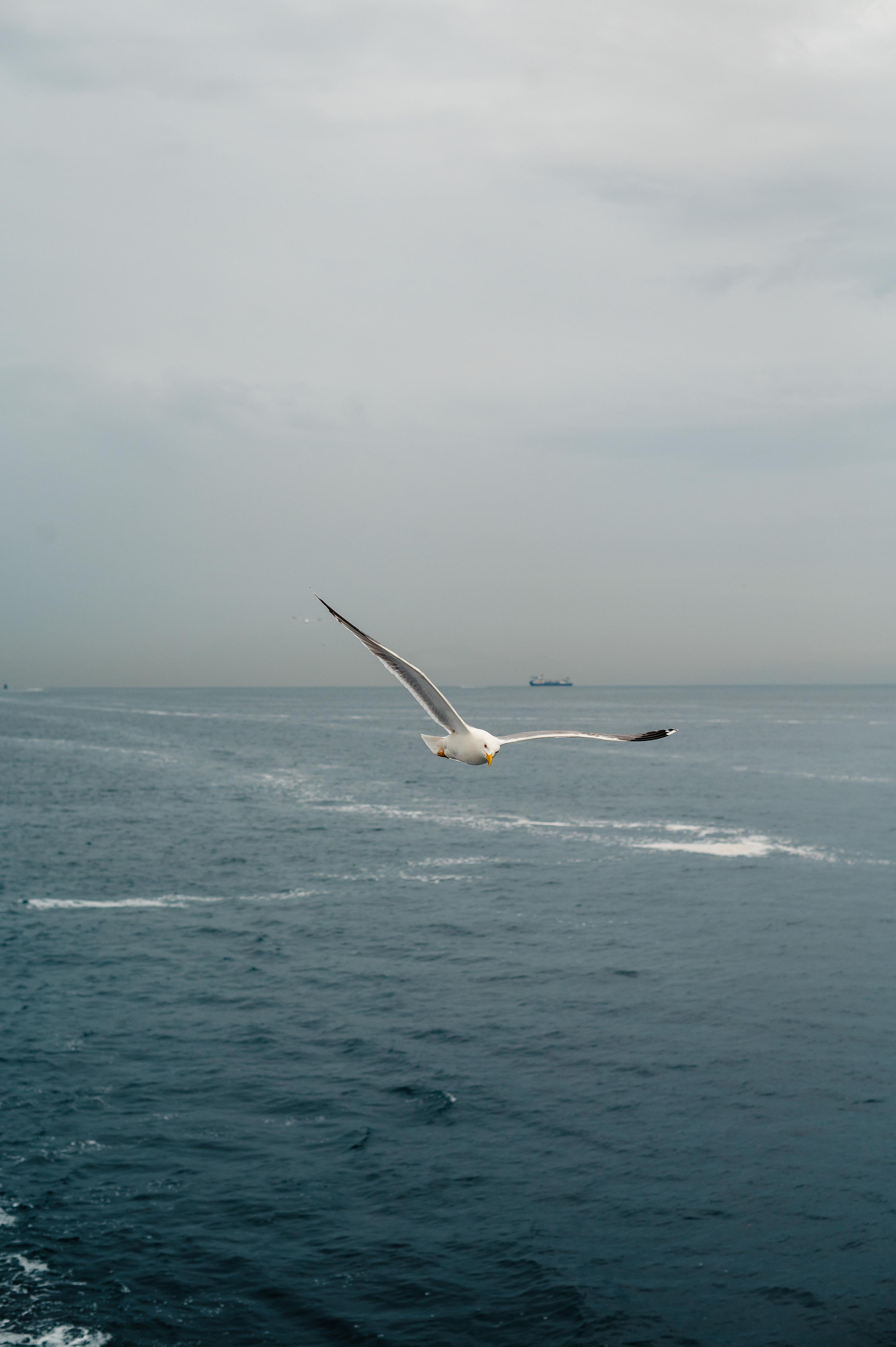 Abenteuer Neapel: Unsere Reise als Hochzeitsfotografen