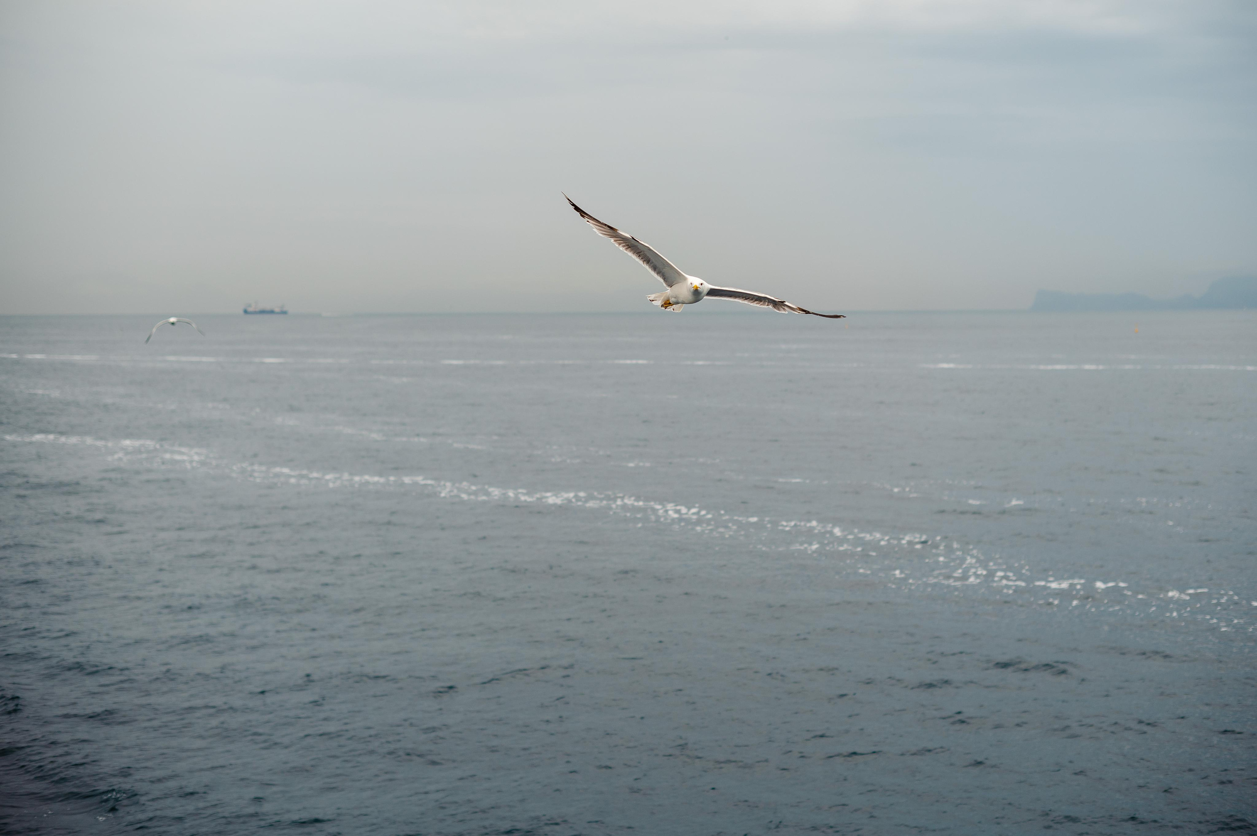 Abenteuer Neapel: Unsere Reise als Hochzeitsfotografen