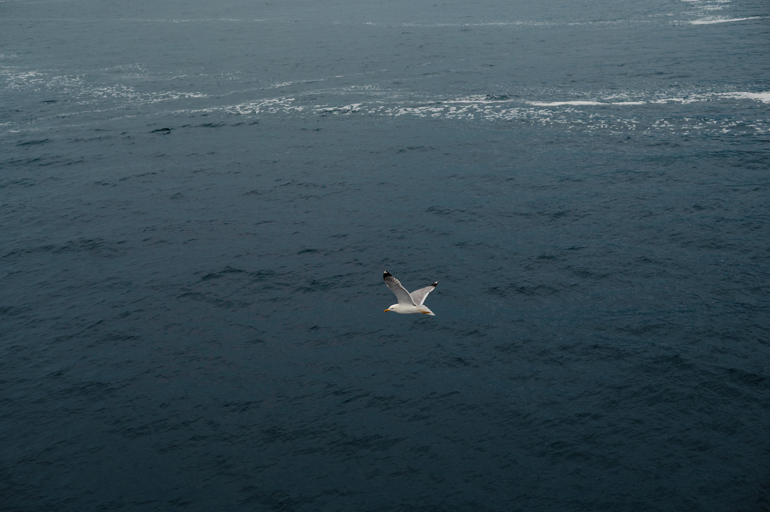 Abenteuer Neapel: Unsere Reise als Hochzeitsfotografen