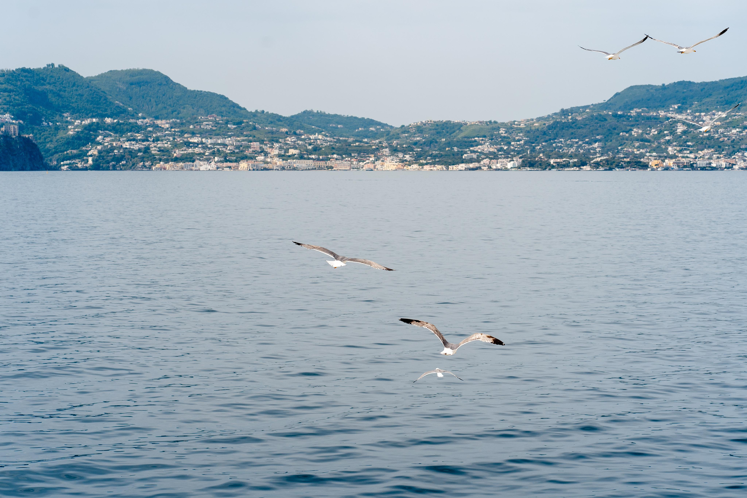 Abenteuer Neapel: Unsere Reise als Hochzeitsfotografen