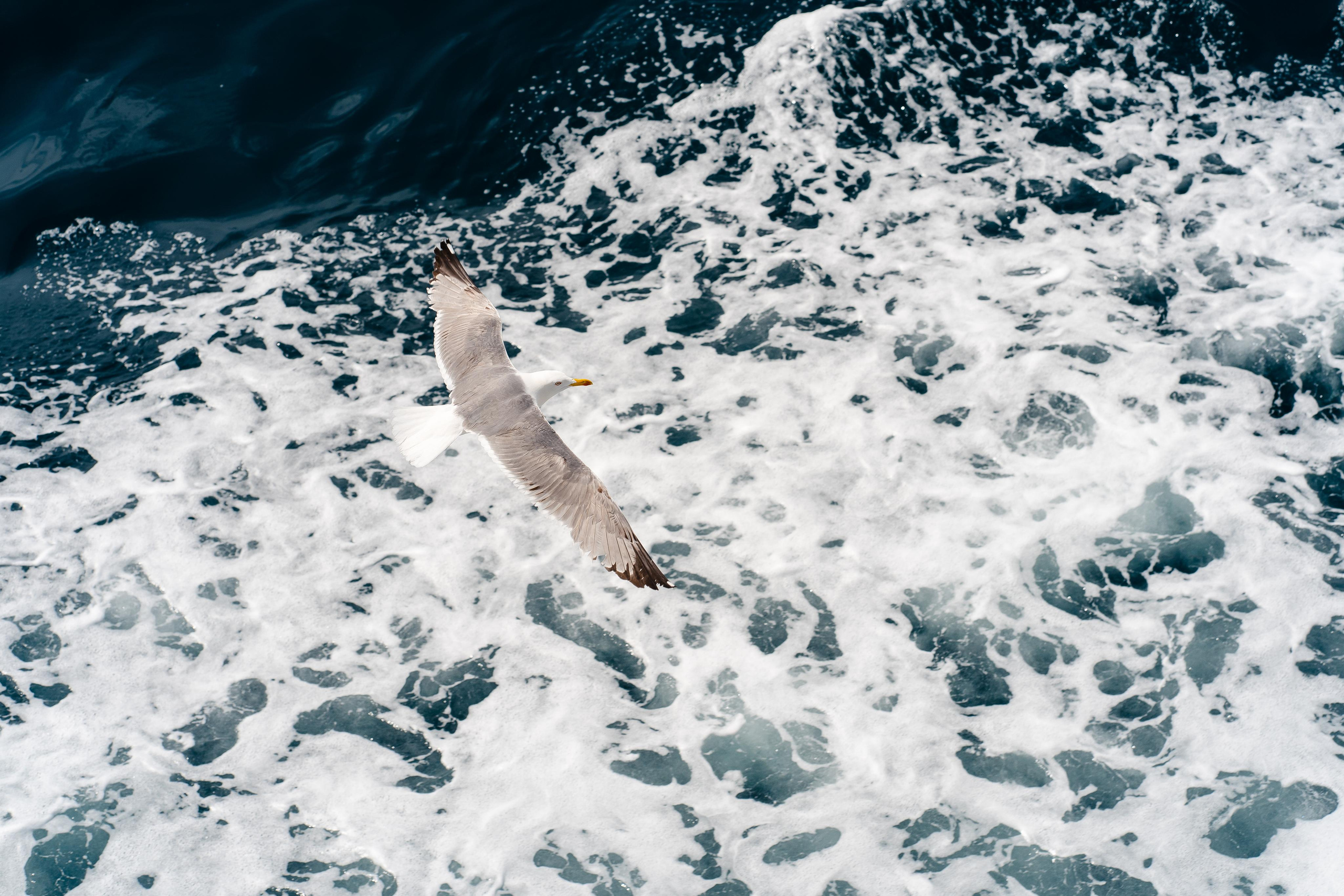 Abenteuer Neapel: Unsere Reise als Hochzeitsfotografen
