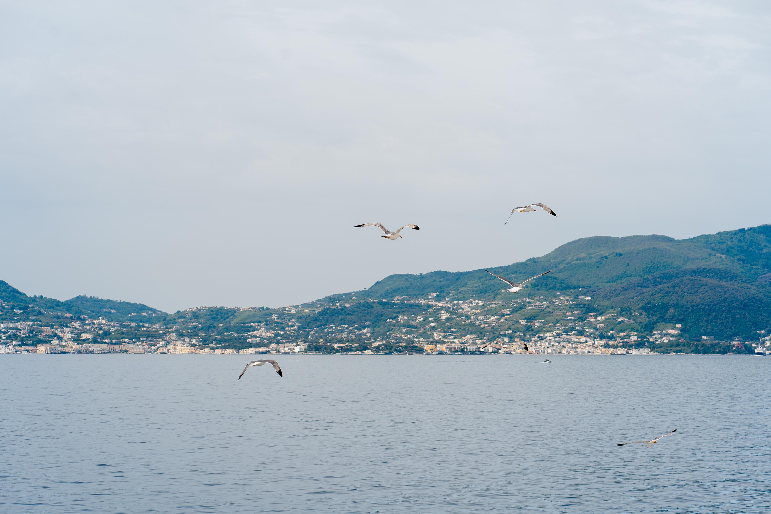 Abenteuer Neapel: Unsere Reise als Hochzeitsfotografen