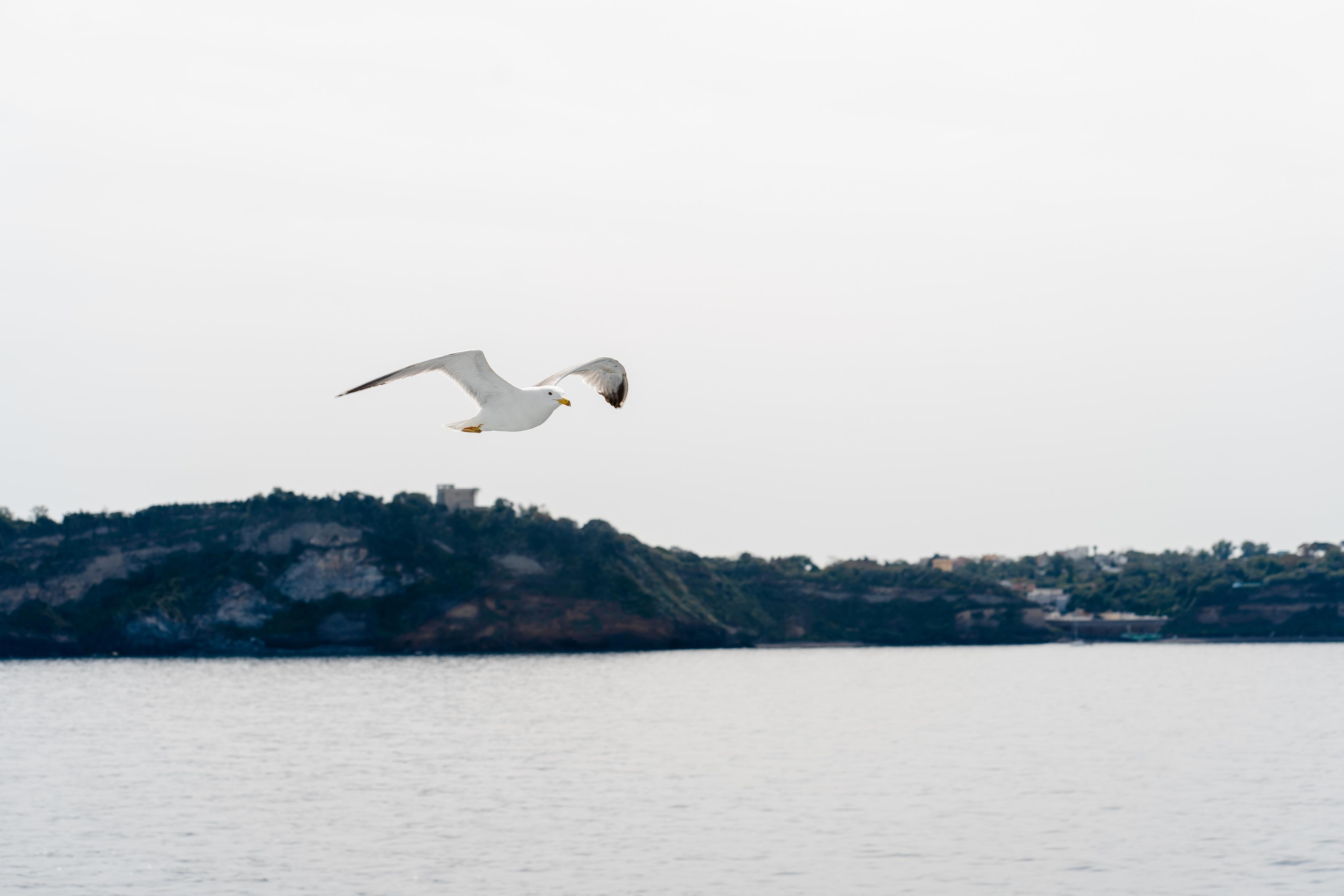 Abenteuer Neapel: Unsere Reise als Hochzeitsfotografen