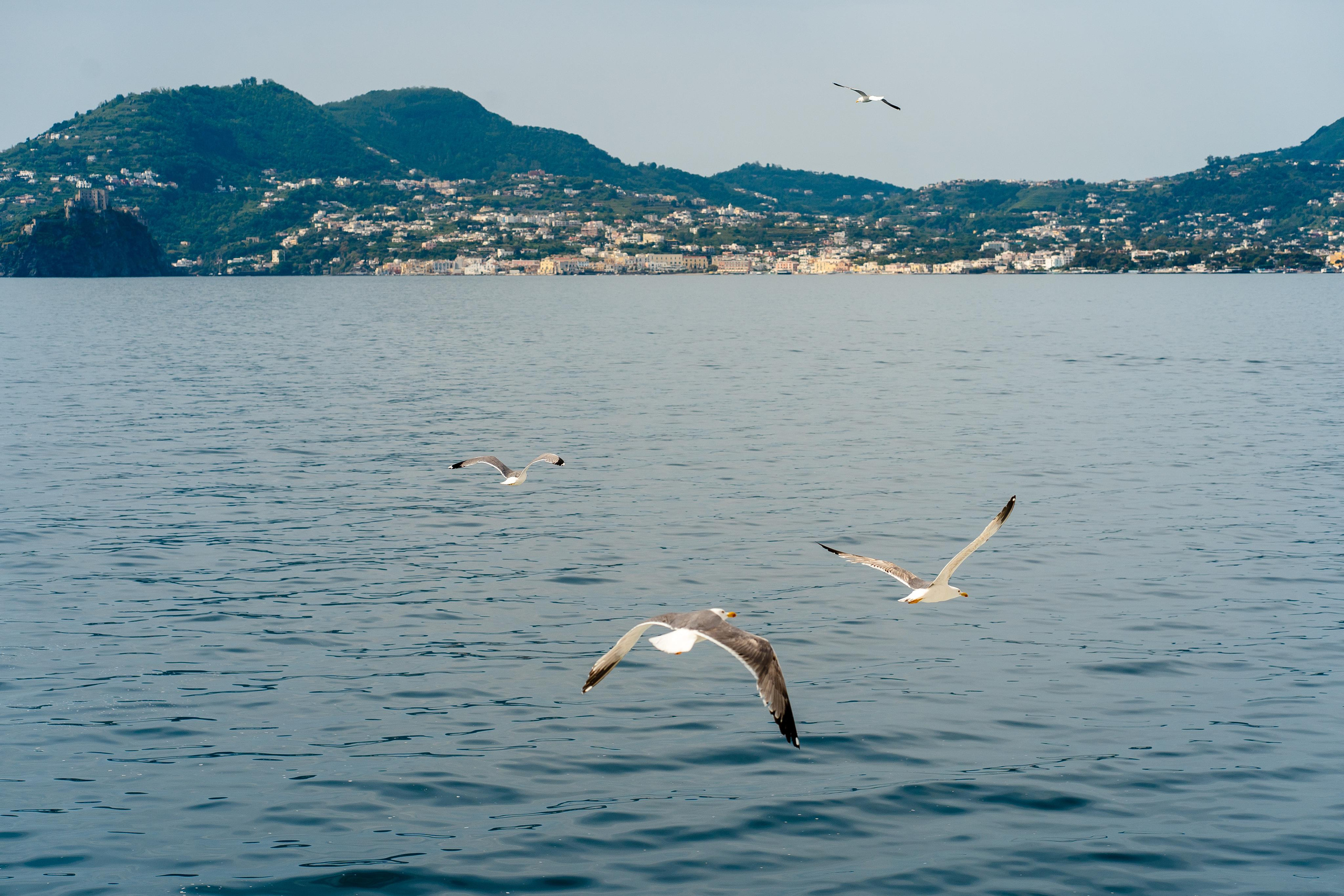 Abenteuer Neapel: Unsere Reise als Hochzeitsfotografen