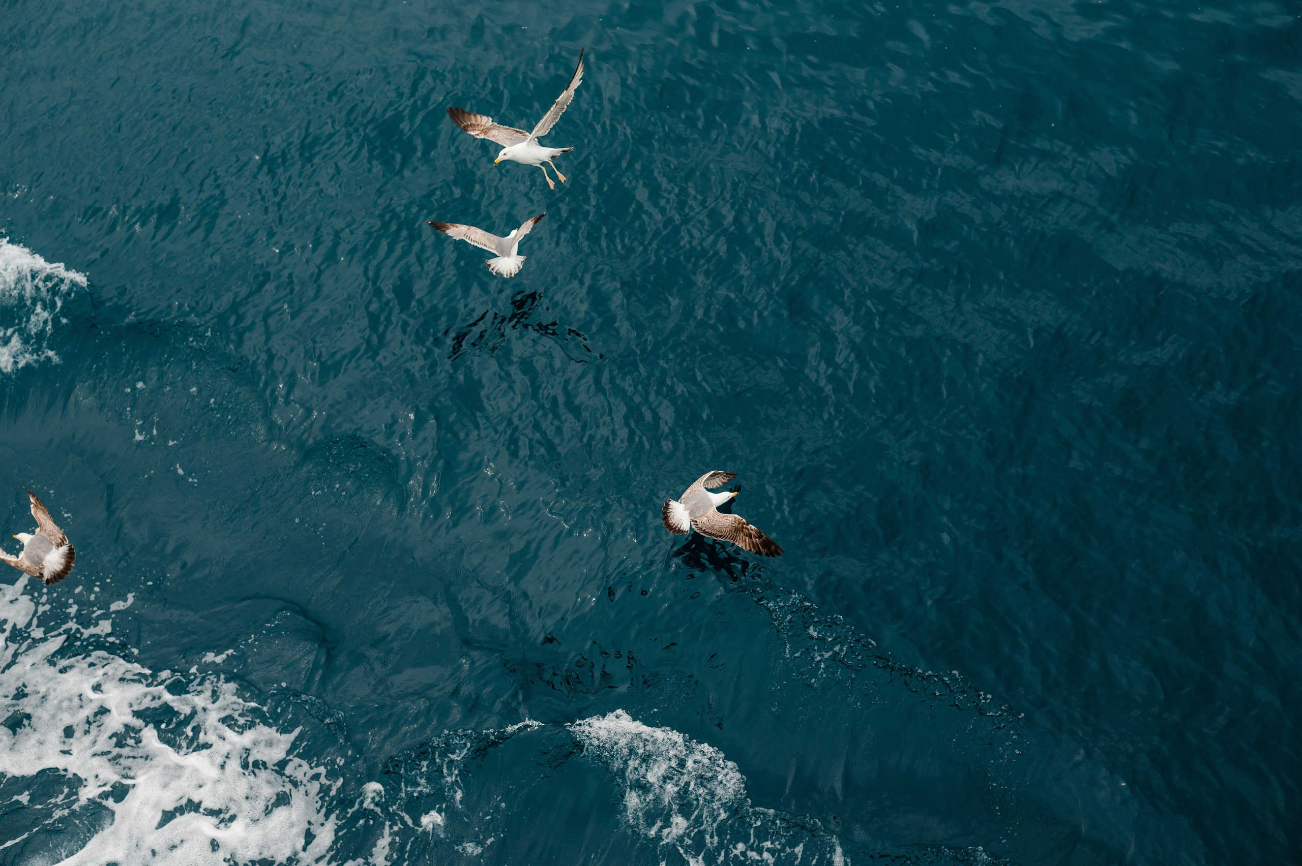 Abenteuer Neapel: Unsere Reise als Hochzeitsfotografen