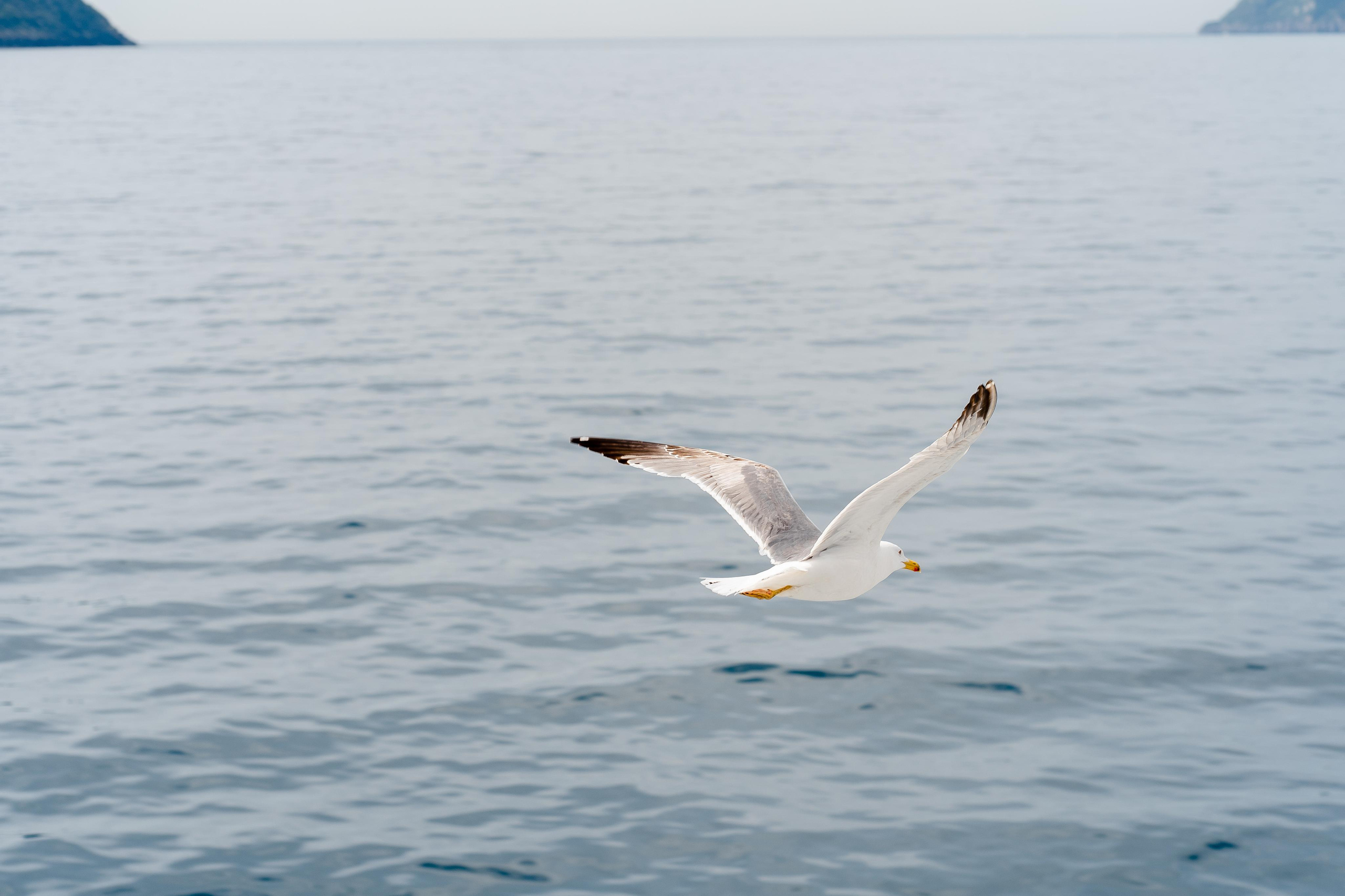 Abenteuer Neapel: Unsere Reise als Hochzeitsfotografen