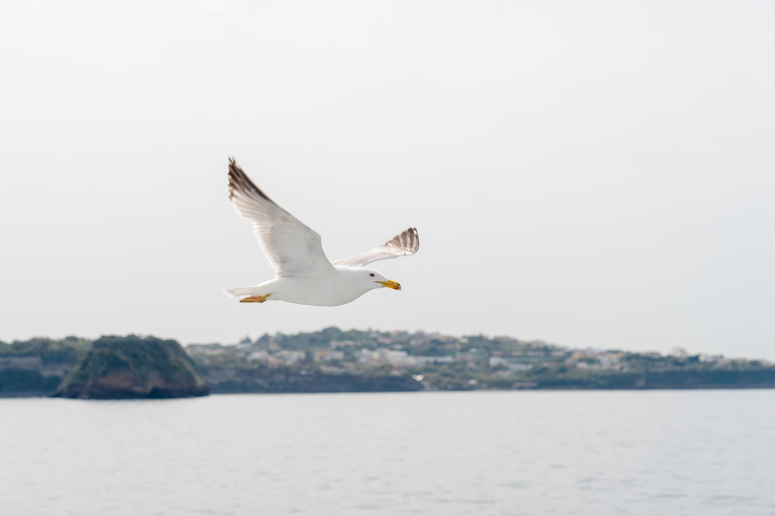 Abenteuer Neapel: Unsere Reise als Hochzeitsfotografen