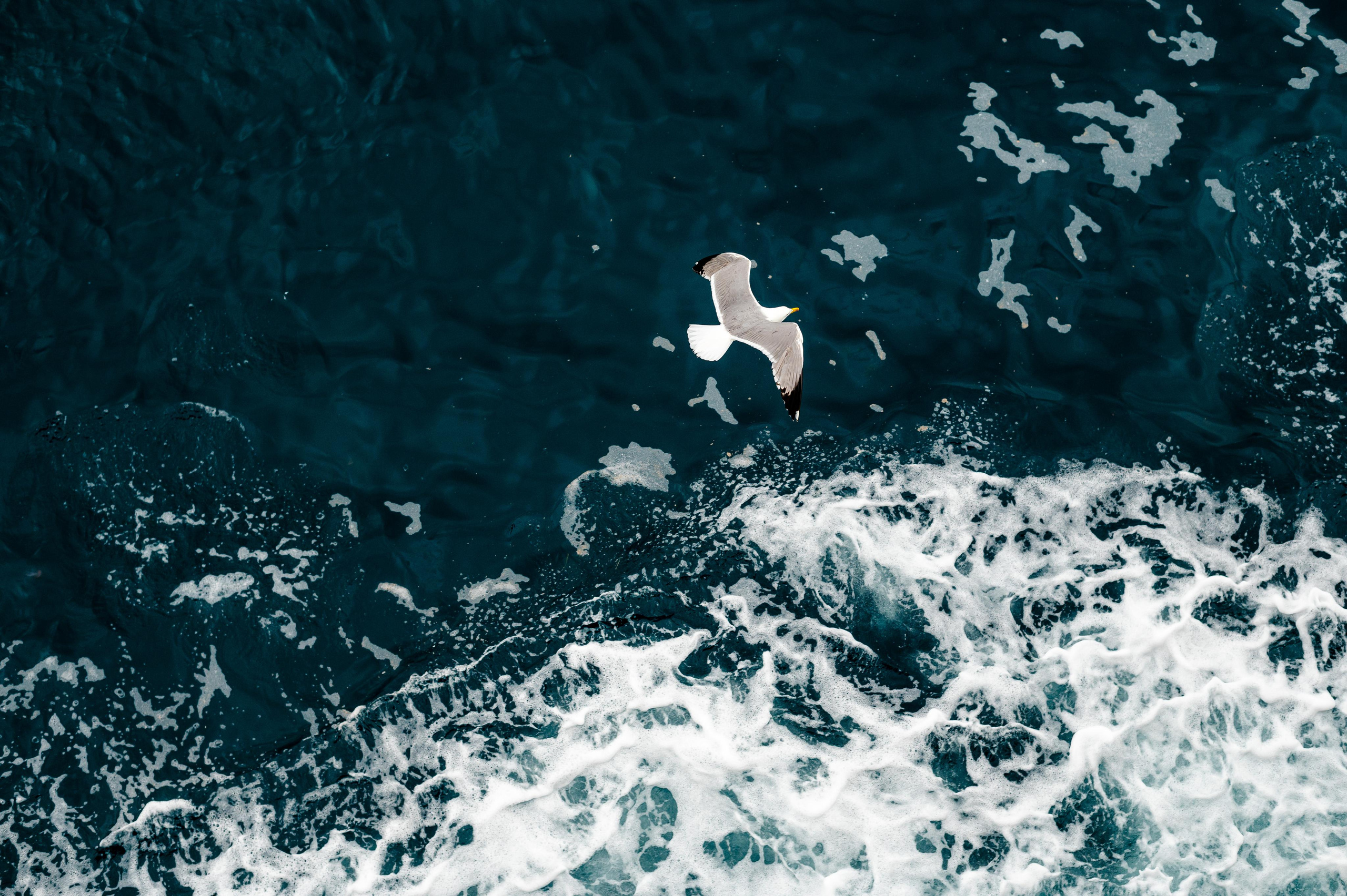 Abenteuer Neapel: Unsere Reise als Hochzeitsfotografen