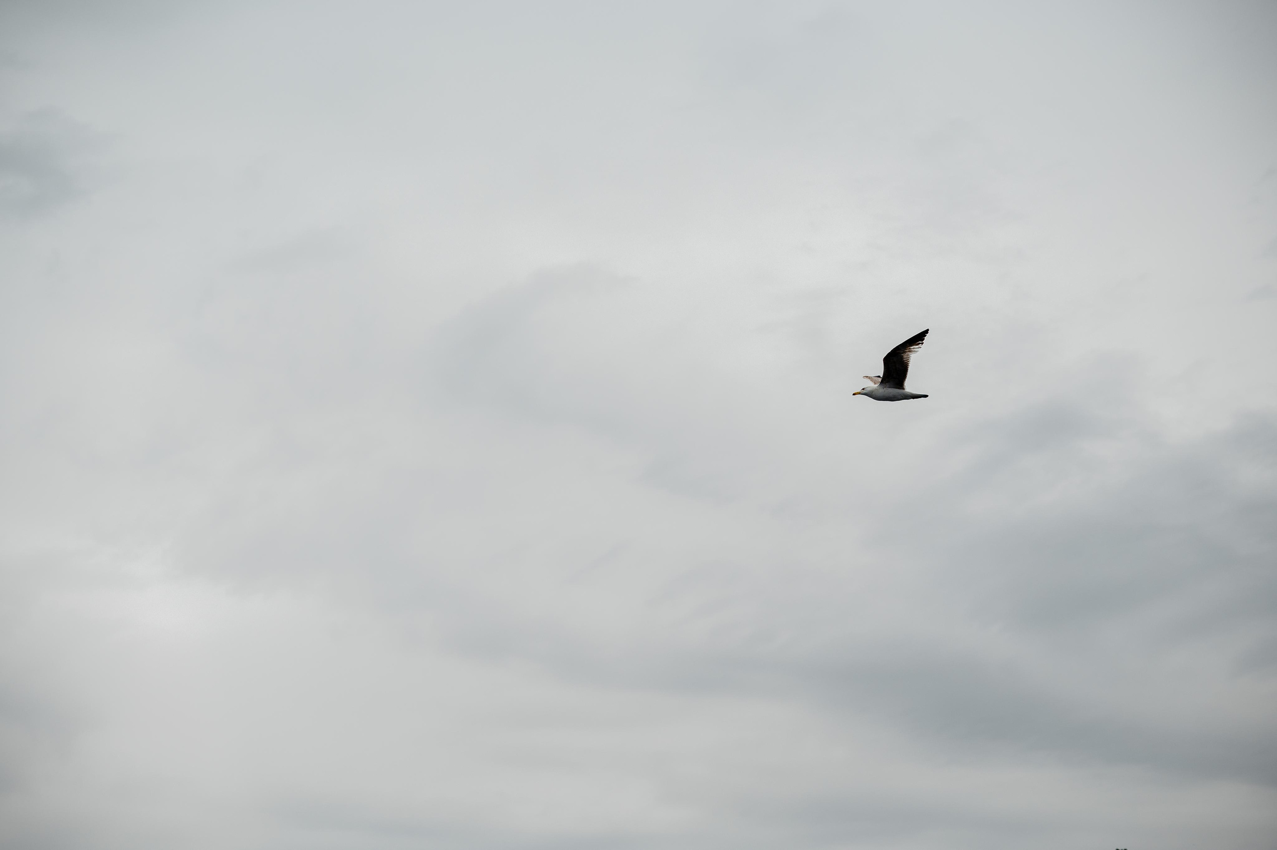 Abenteuer Neapel: Unsere Reise als Hochzeitsfotografen