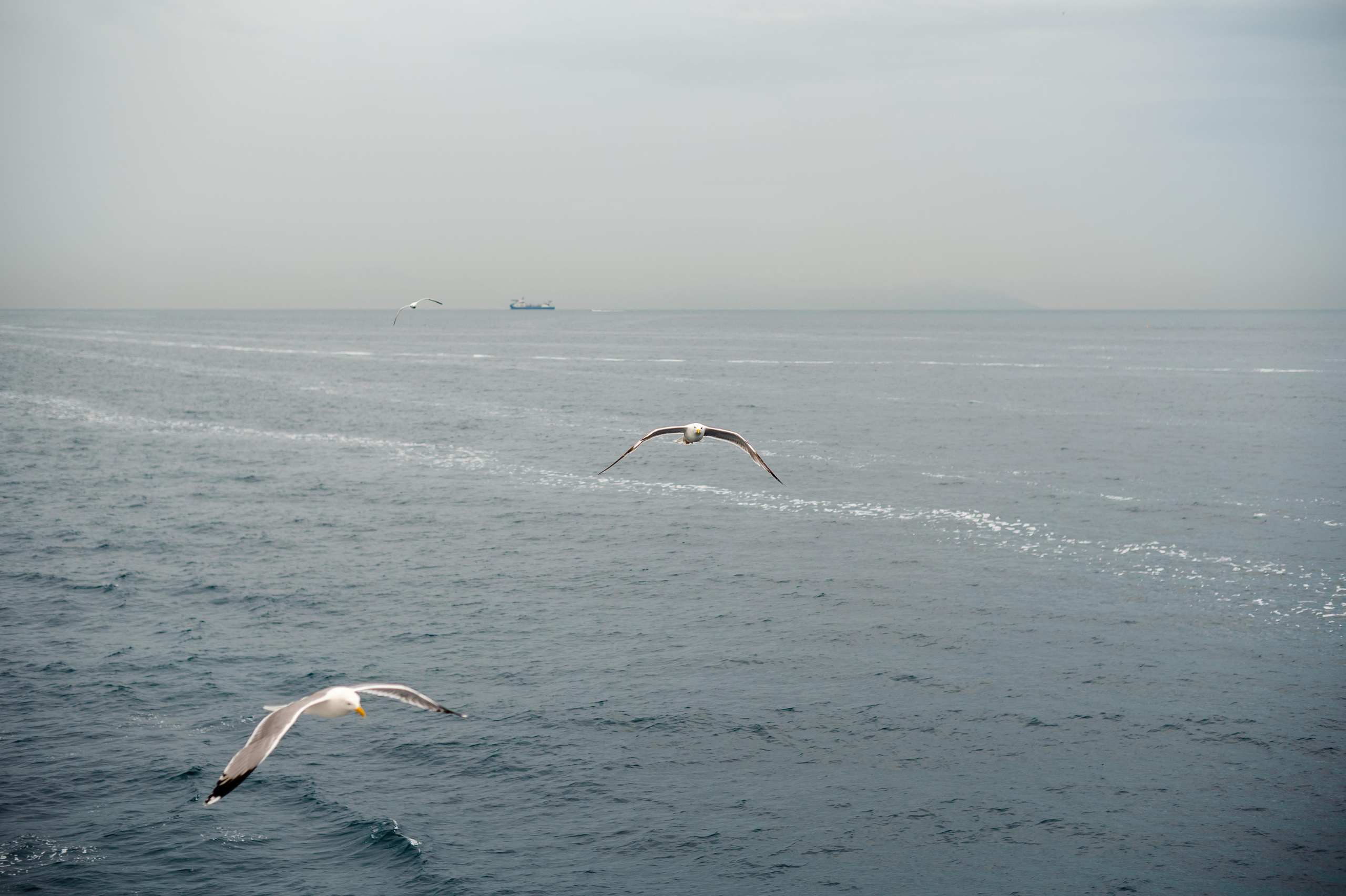 Abenteuer Neapel: Unsere Reise als Hochzeitsfotografen