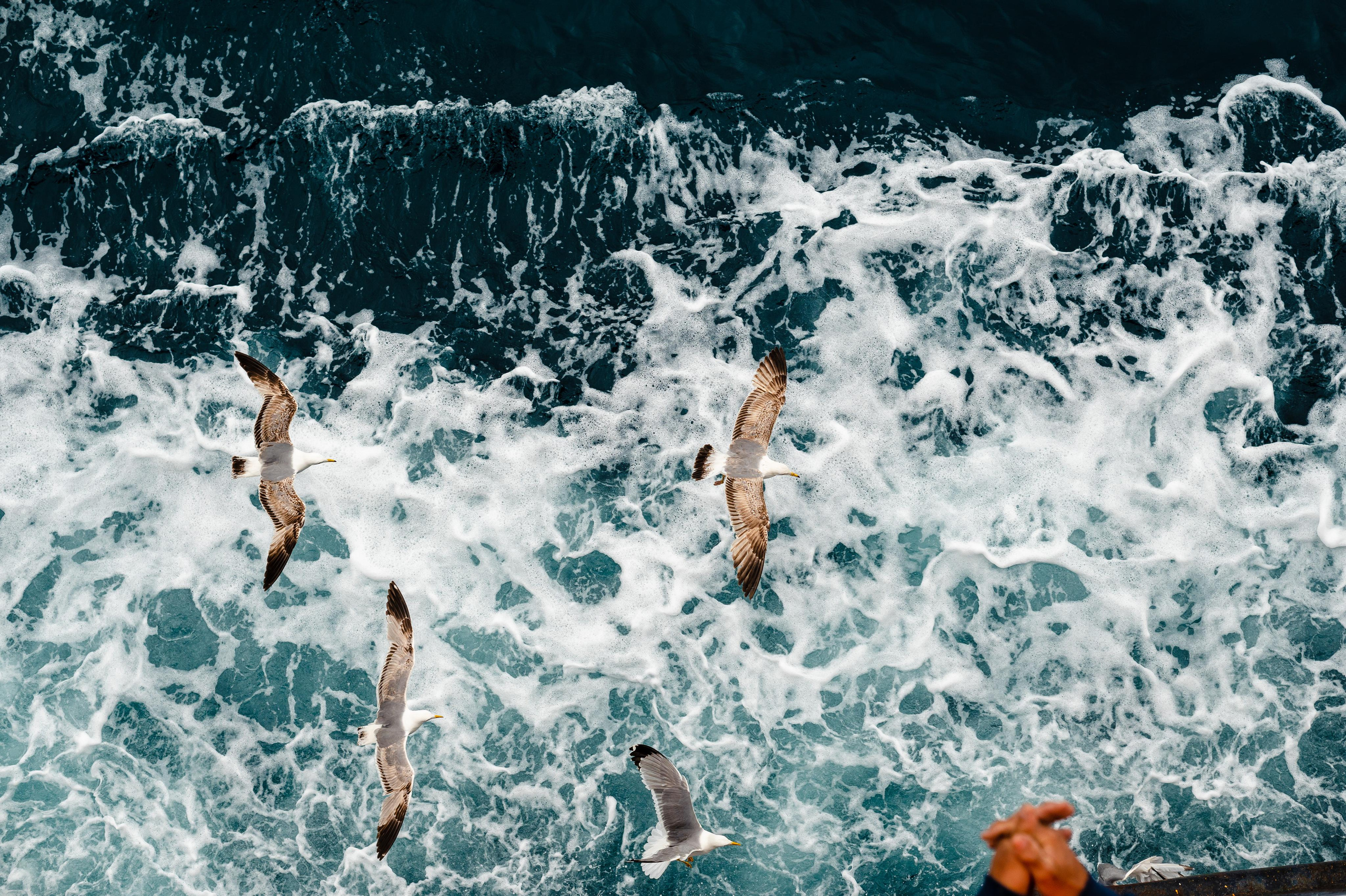 Abenteuer Neapel: Unsere Reise als Hochzeitsfotografen