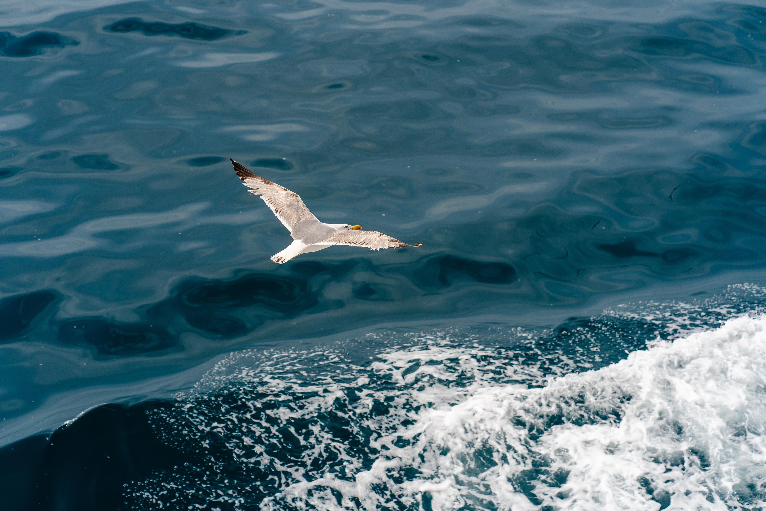 Abenteuer Neapel: Unsere Reise als Hochzeitsfotografen
