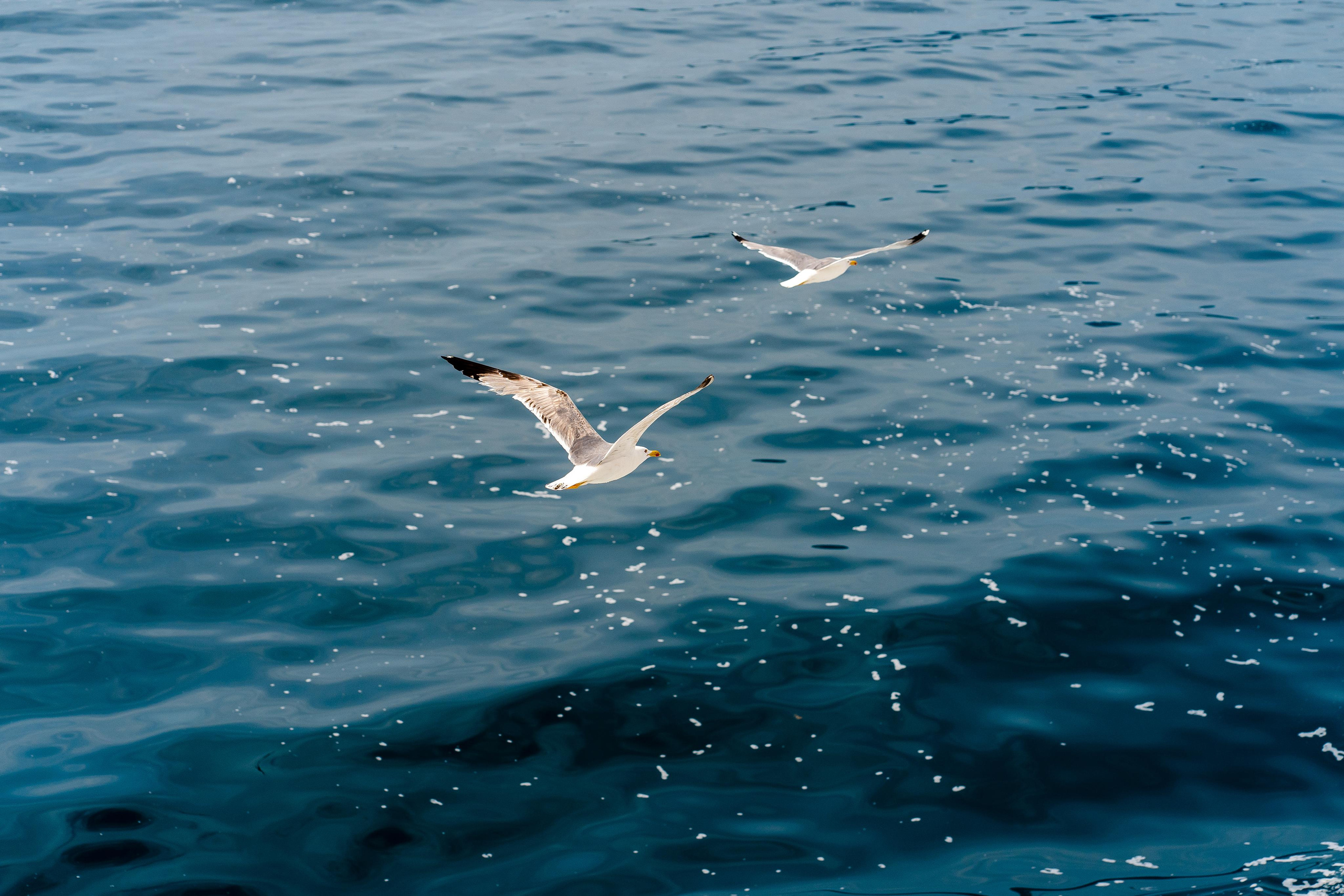 Abenteuer Neapel: Unsere Reise als Hochzeitsfotografen