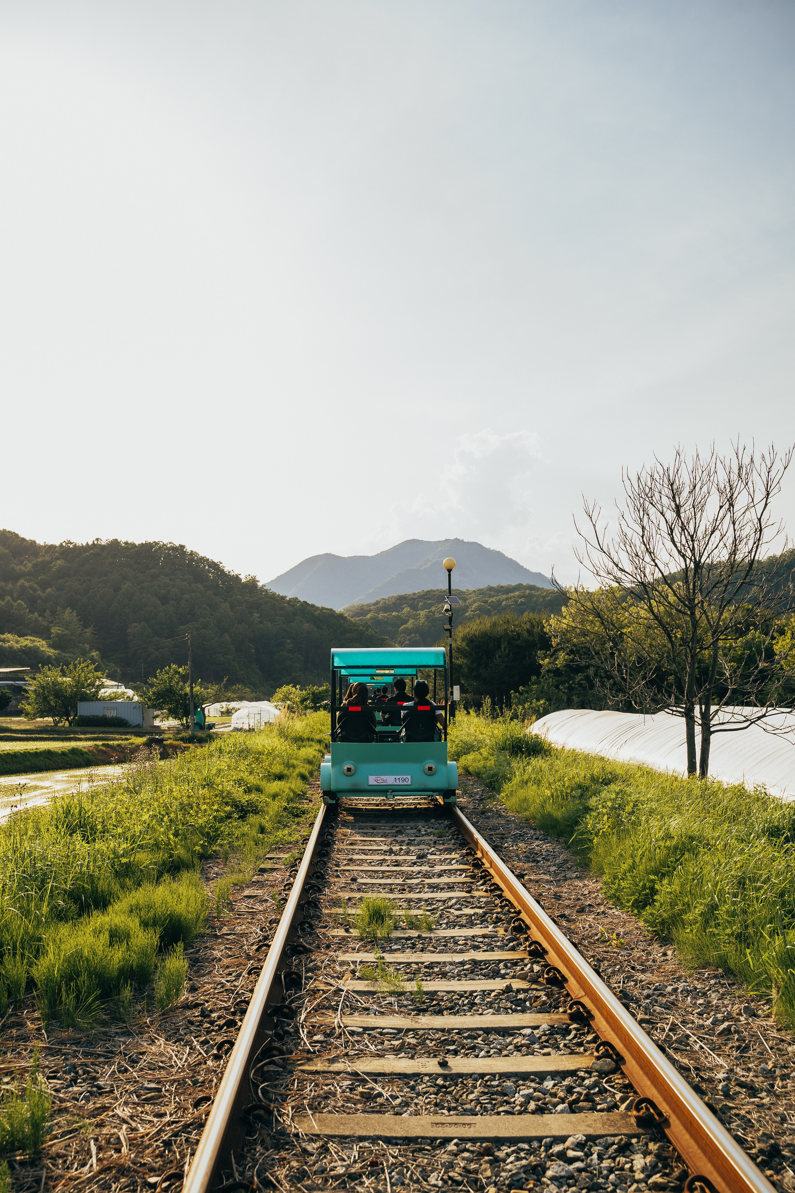 🇰🇷 Южная Корея. Фотограф и travel-блоггер Александра Гриценко