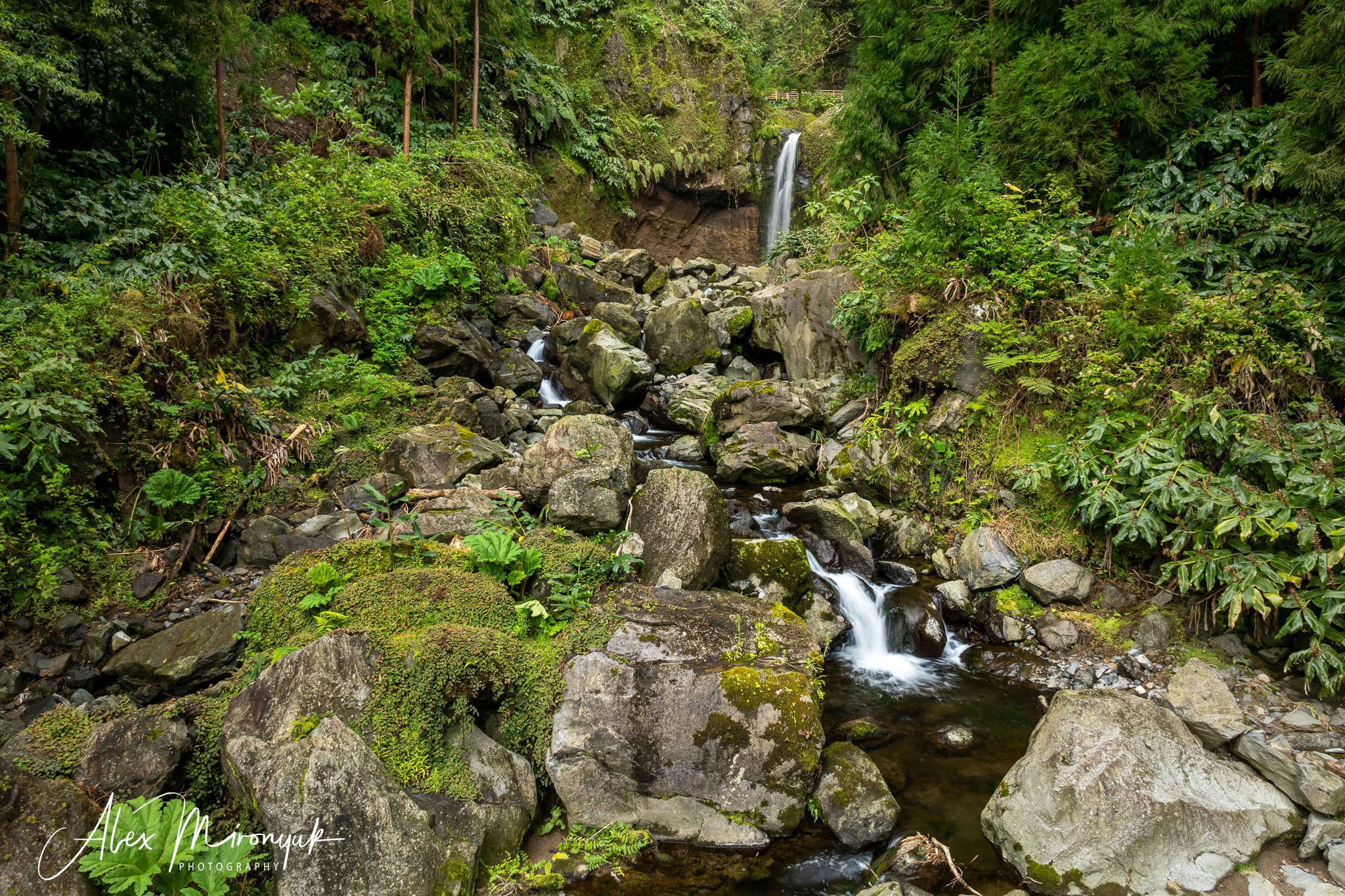 Azores And Madeira. Alex Mironyuk Photography