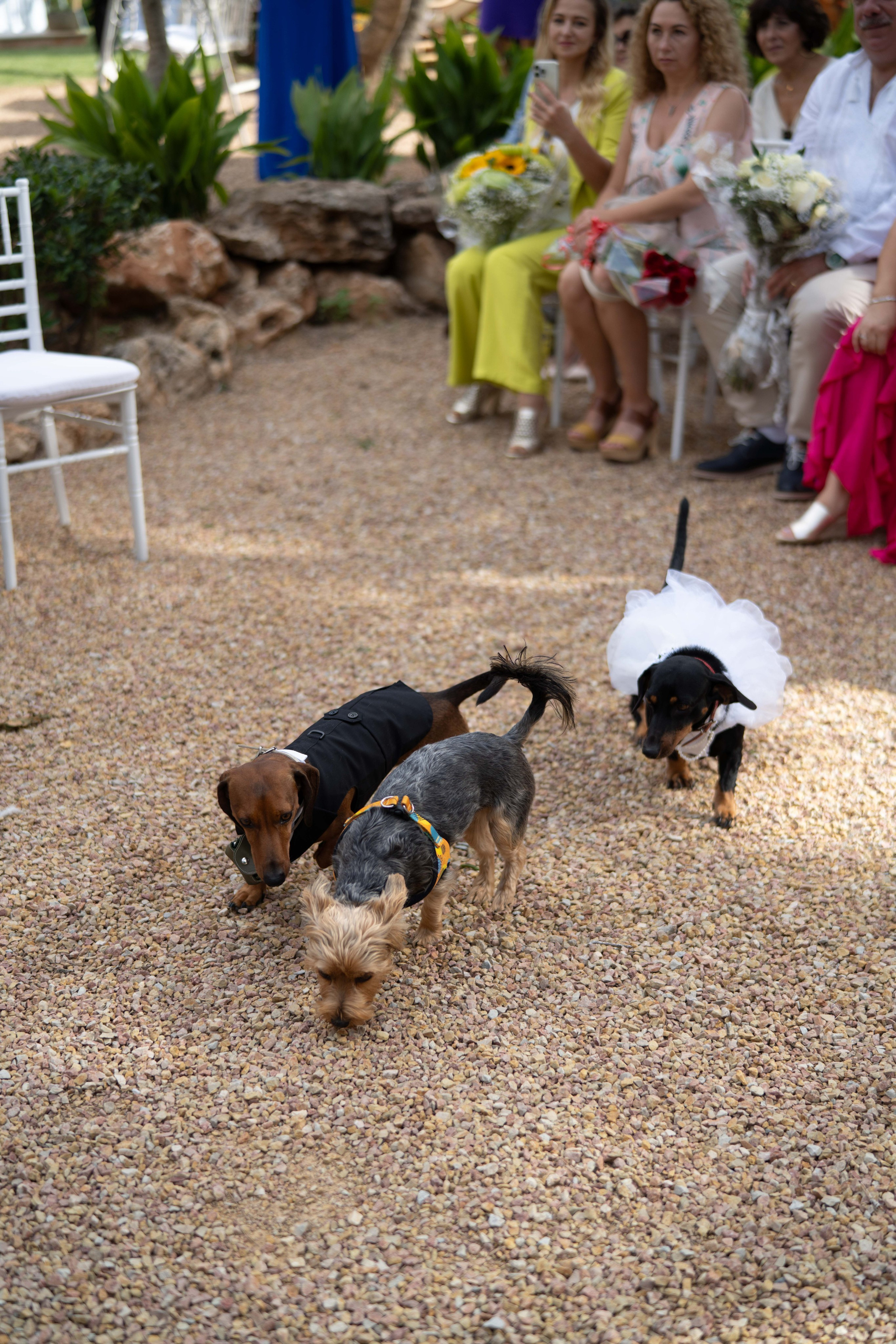 Wedding. Фотограф у Пальма де Майорка
